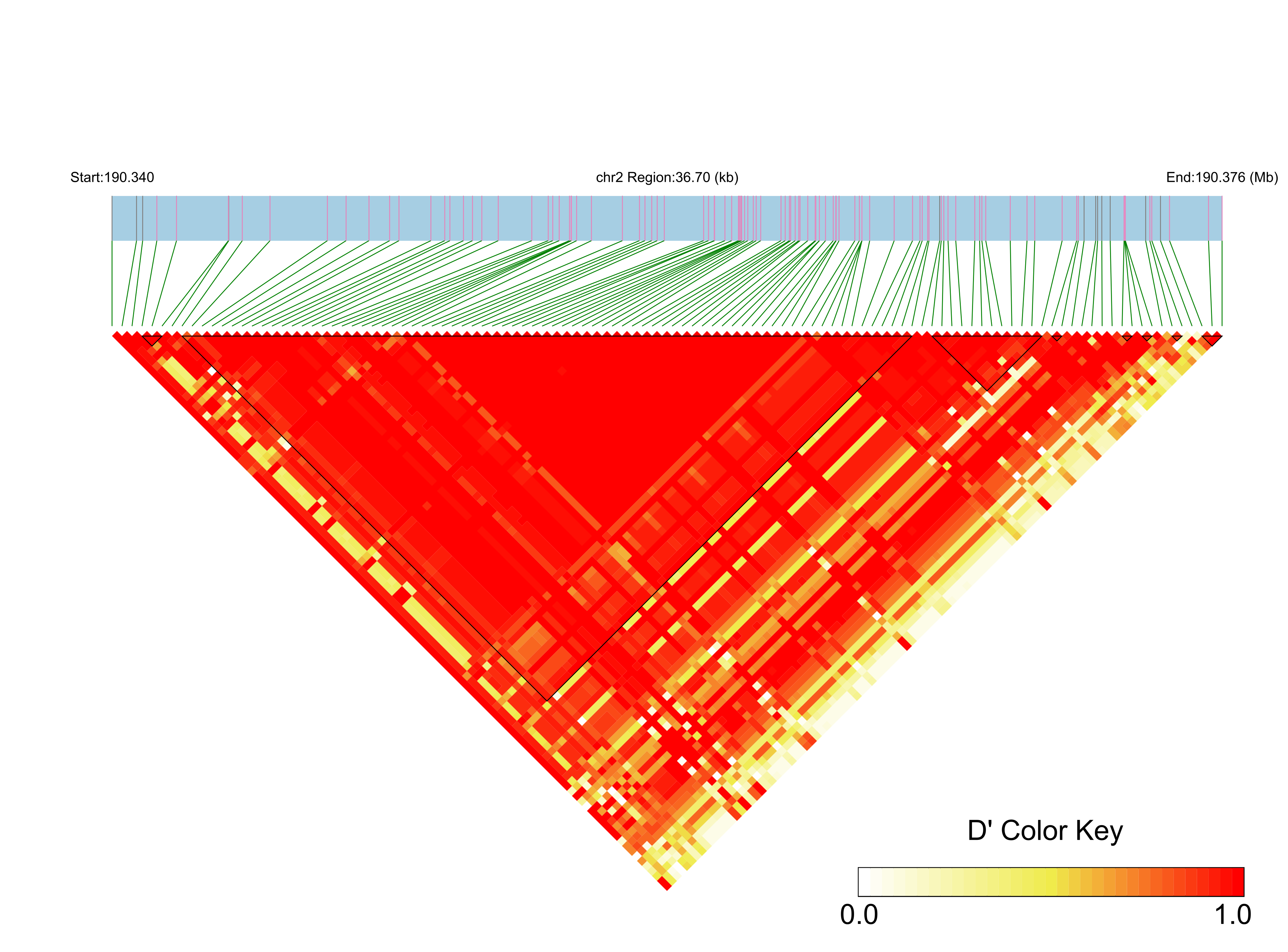 LD