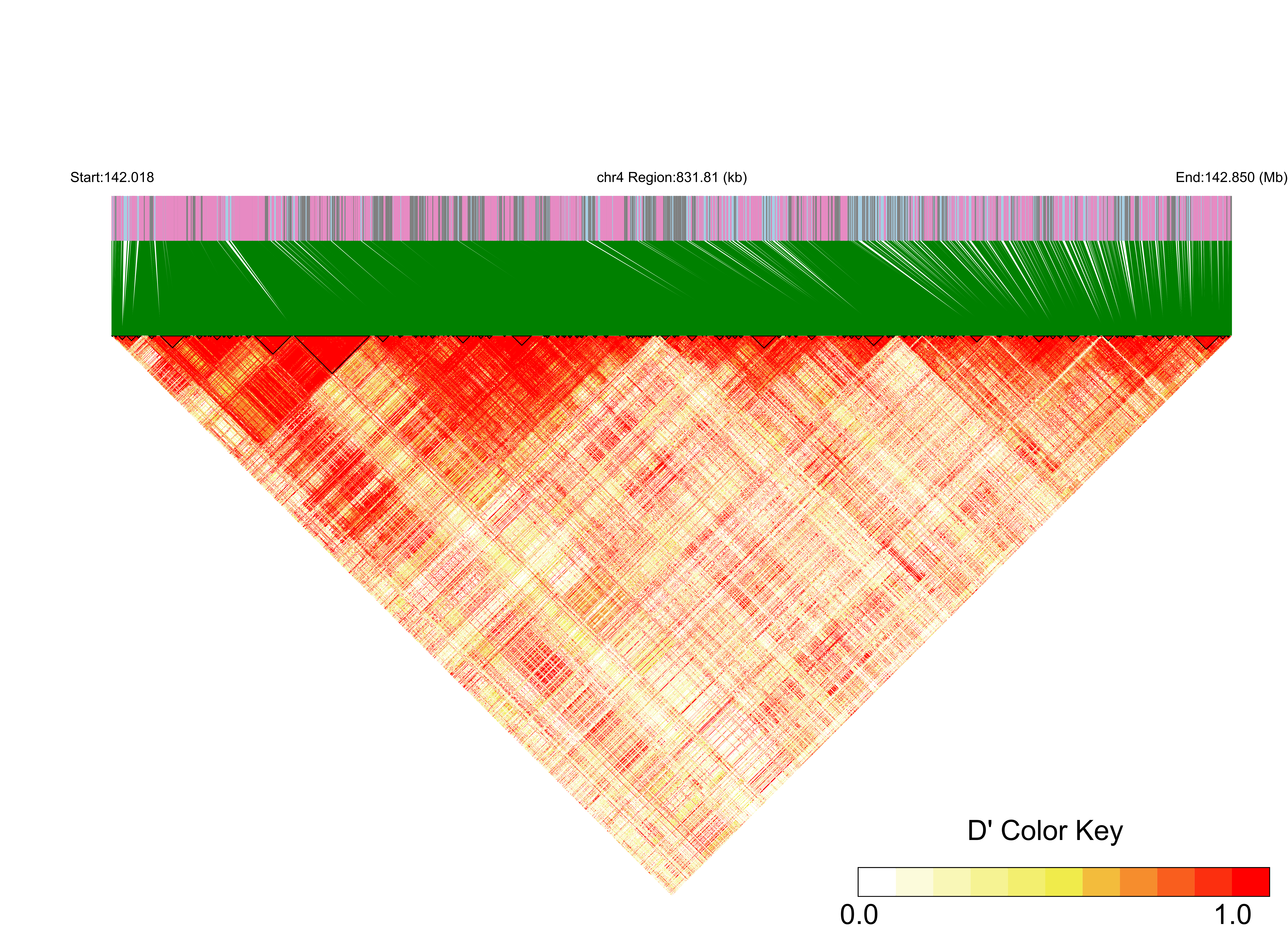 LD