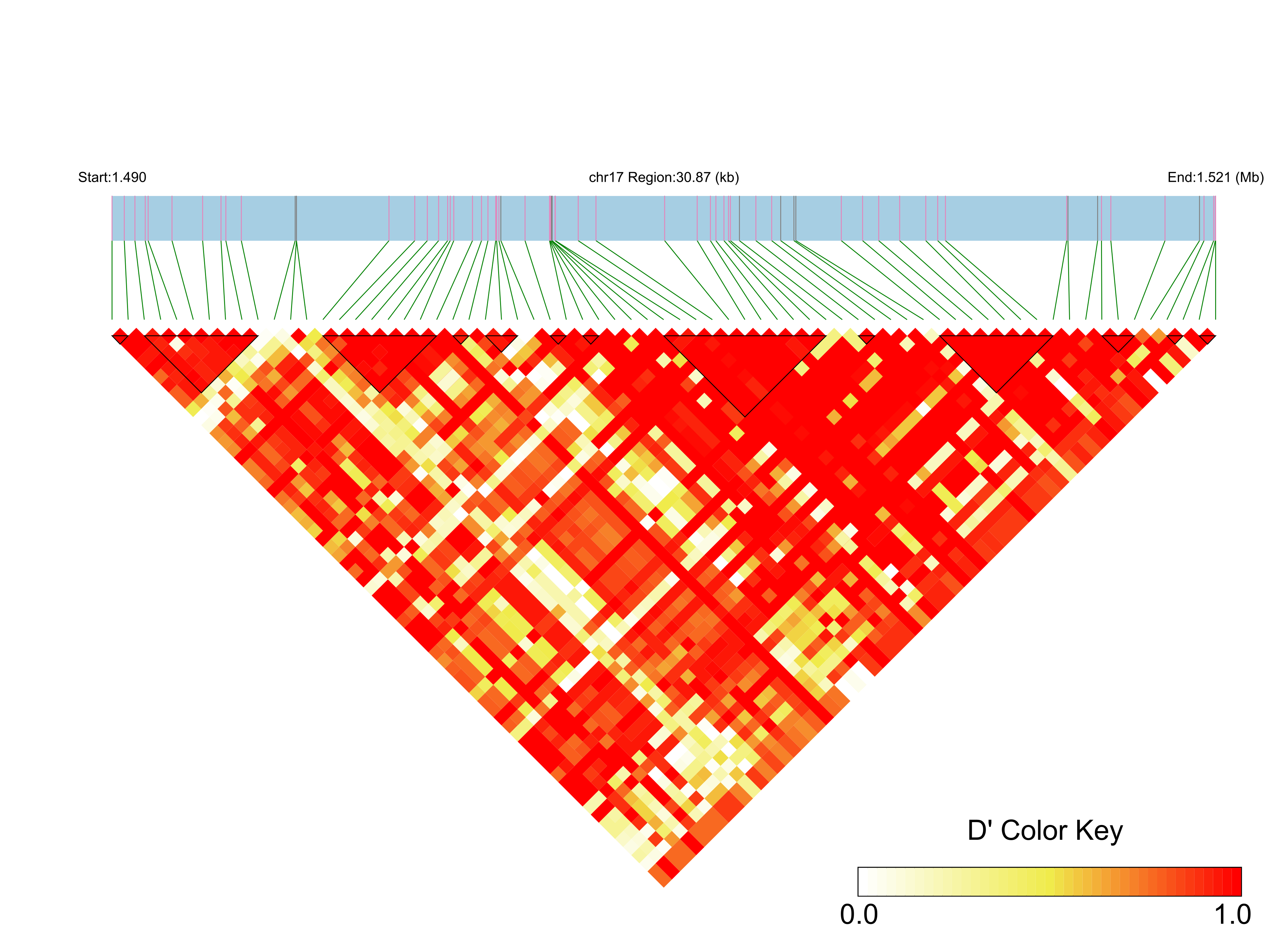LD