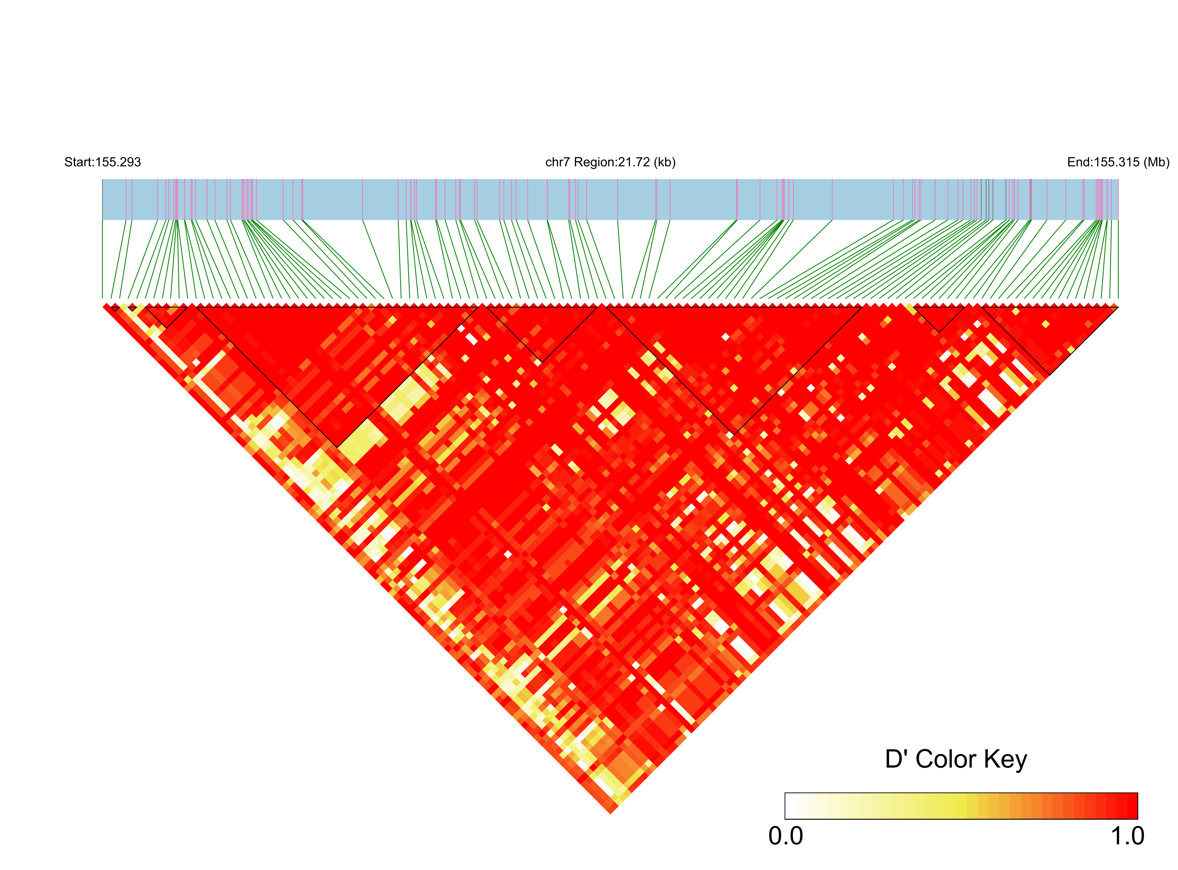 LD