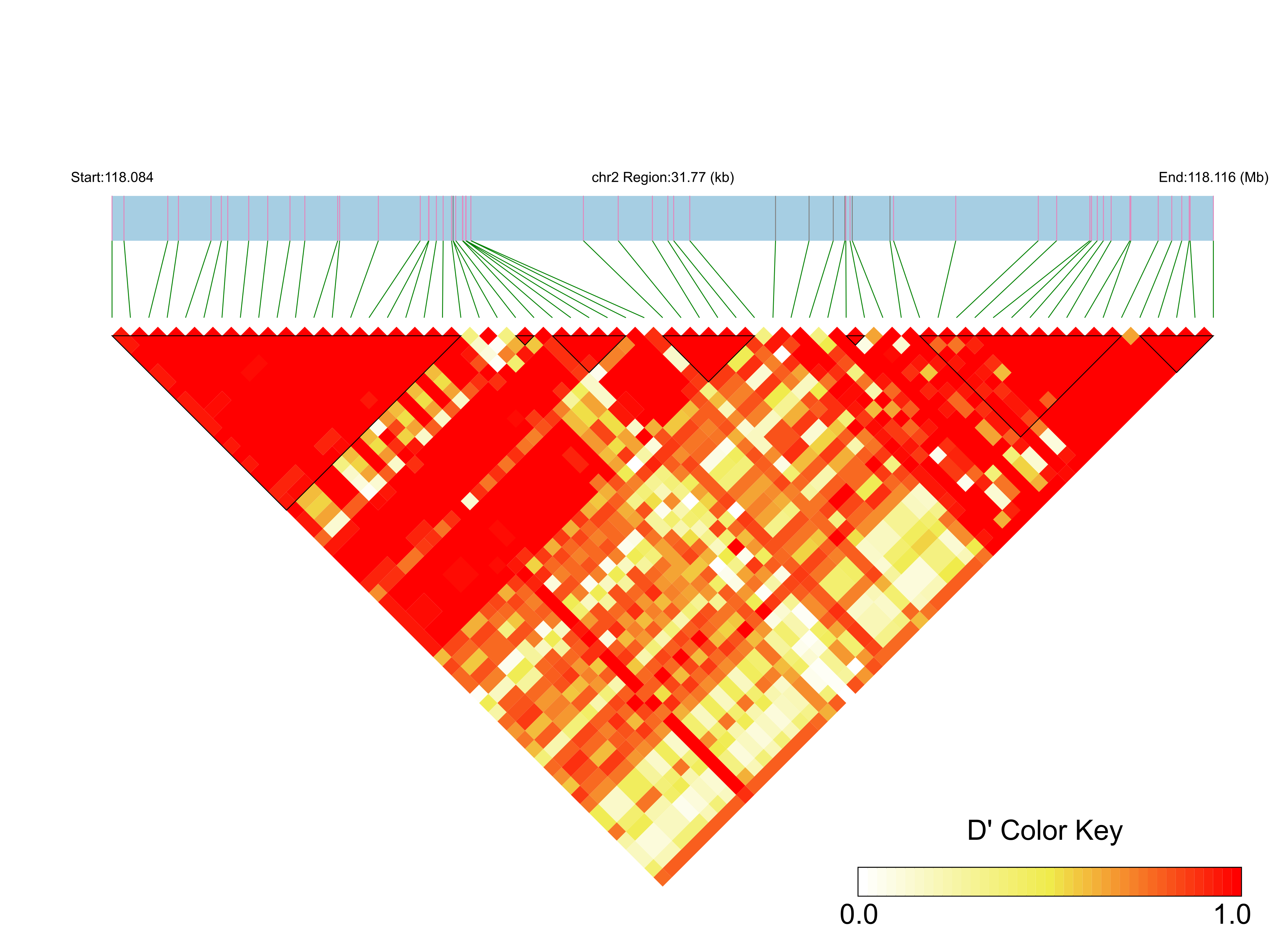 LD