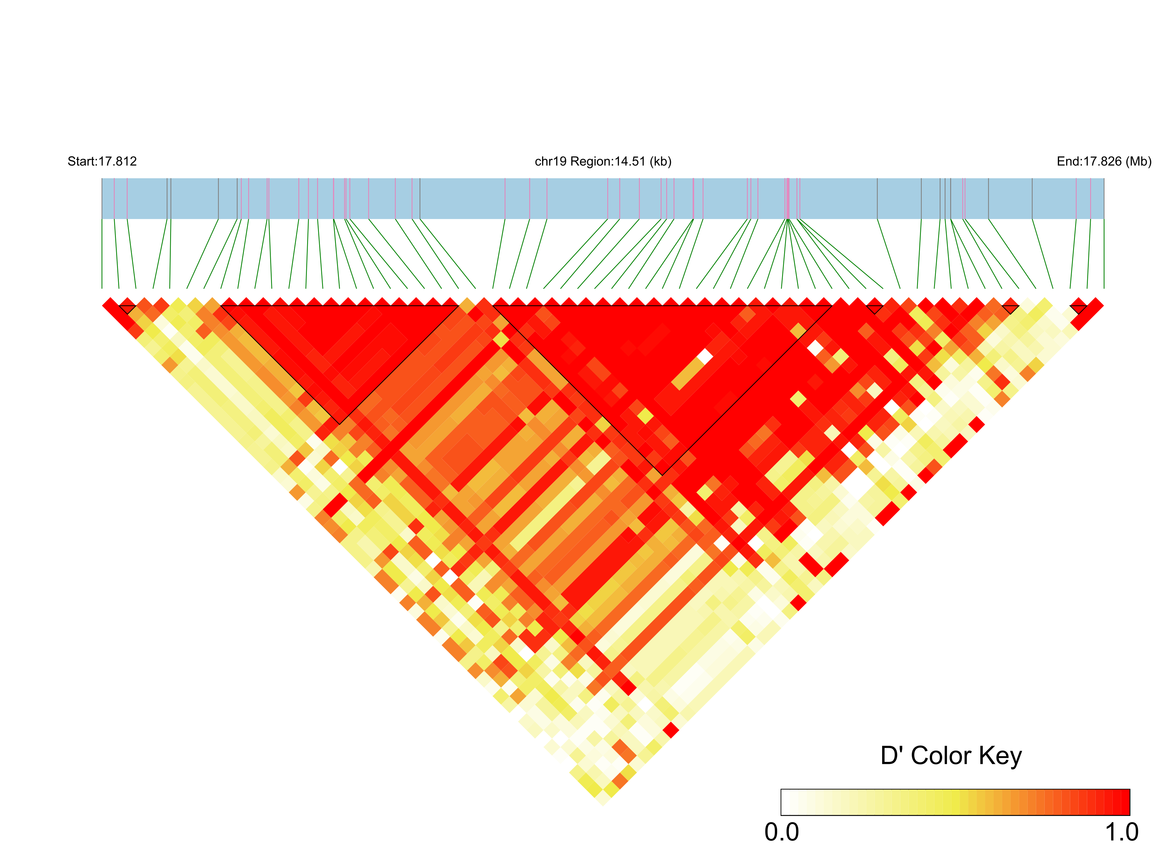 LD