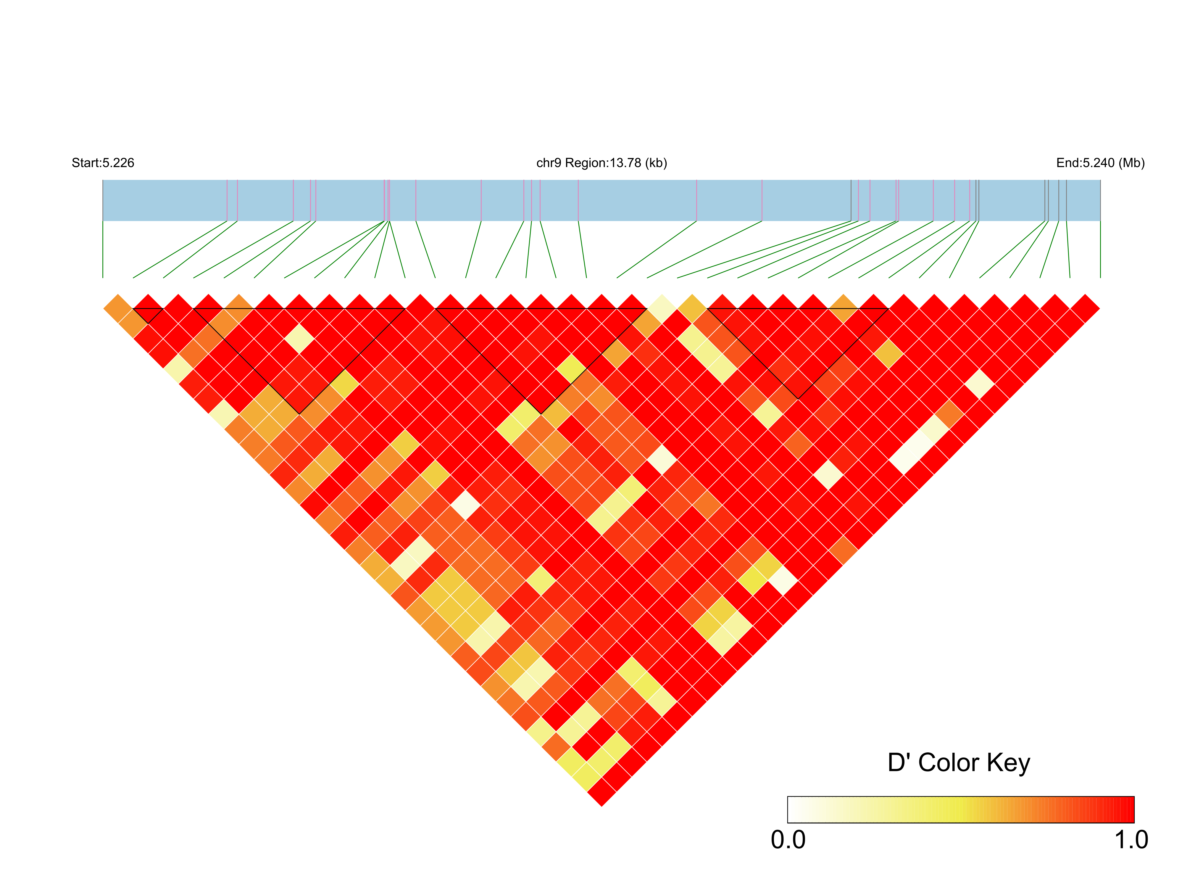 LD