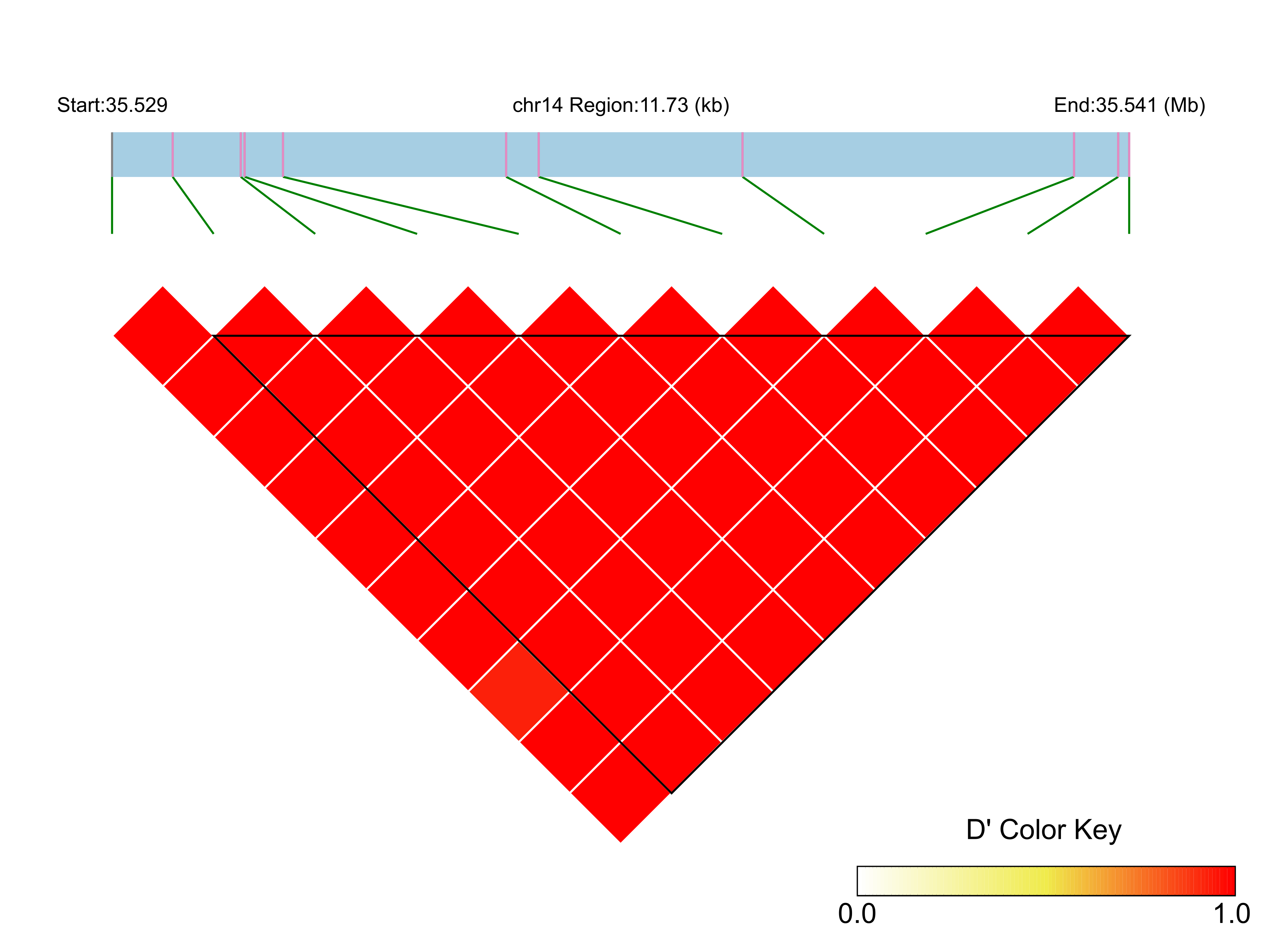 LD