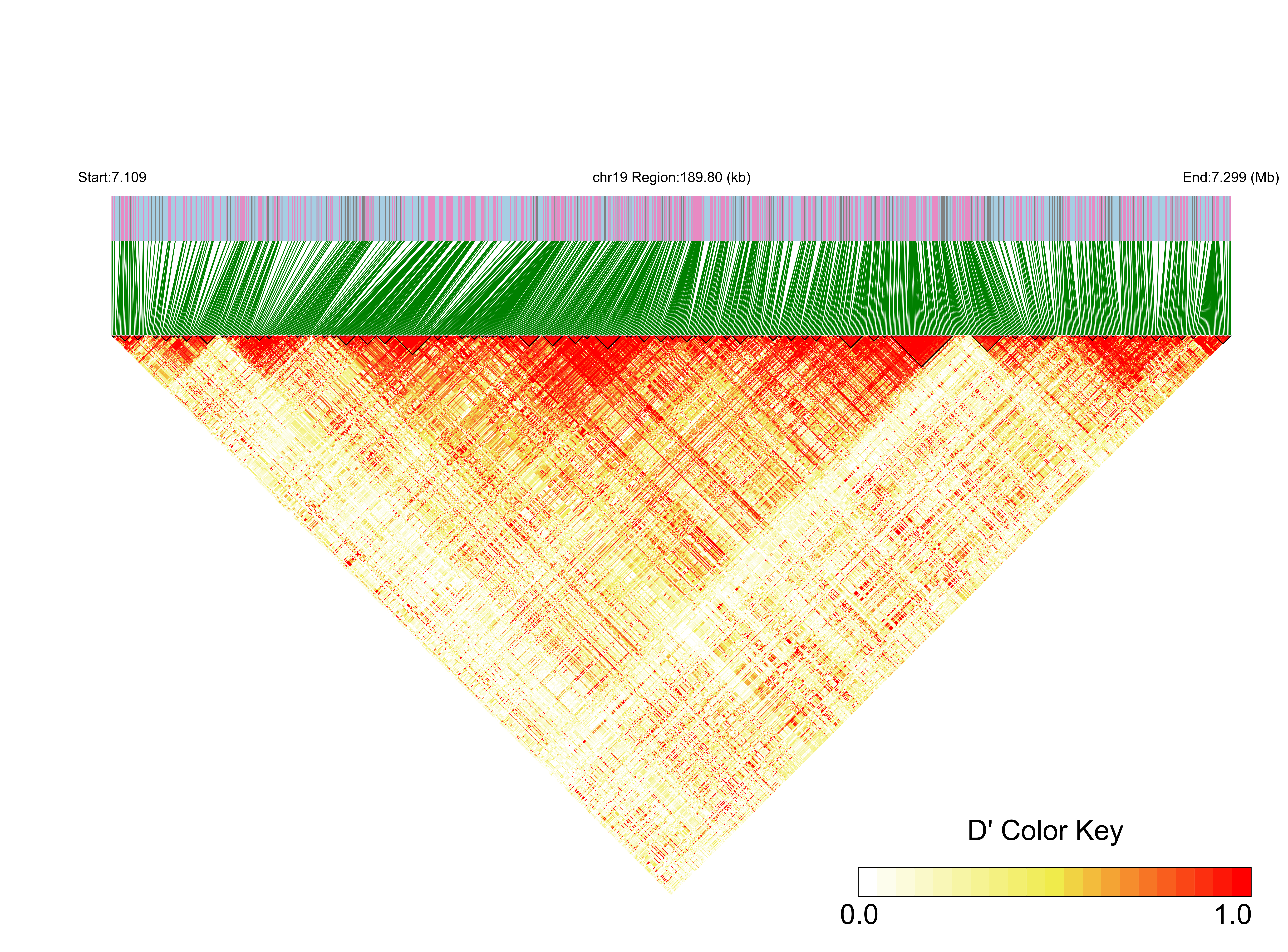 LD