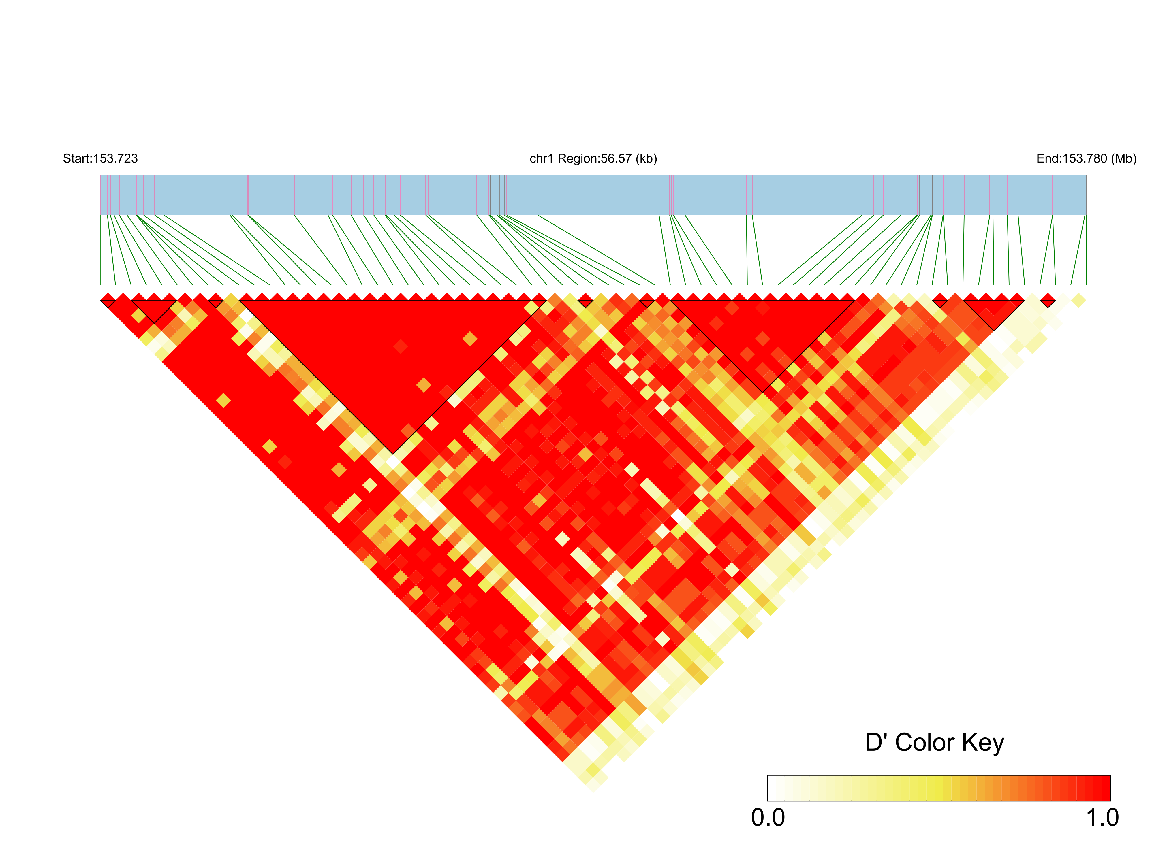 LD