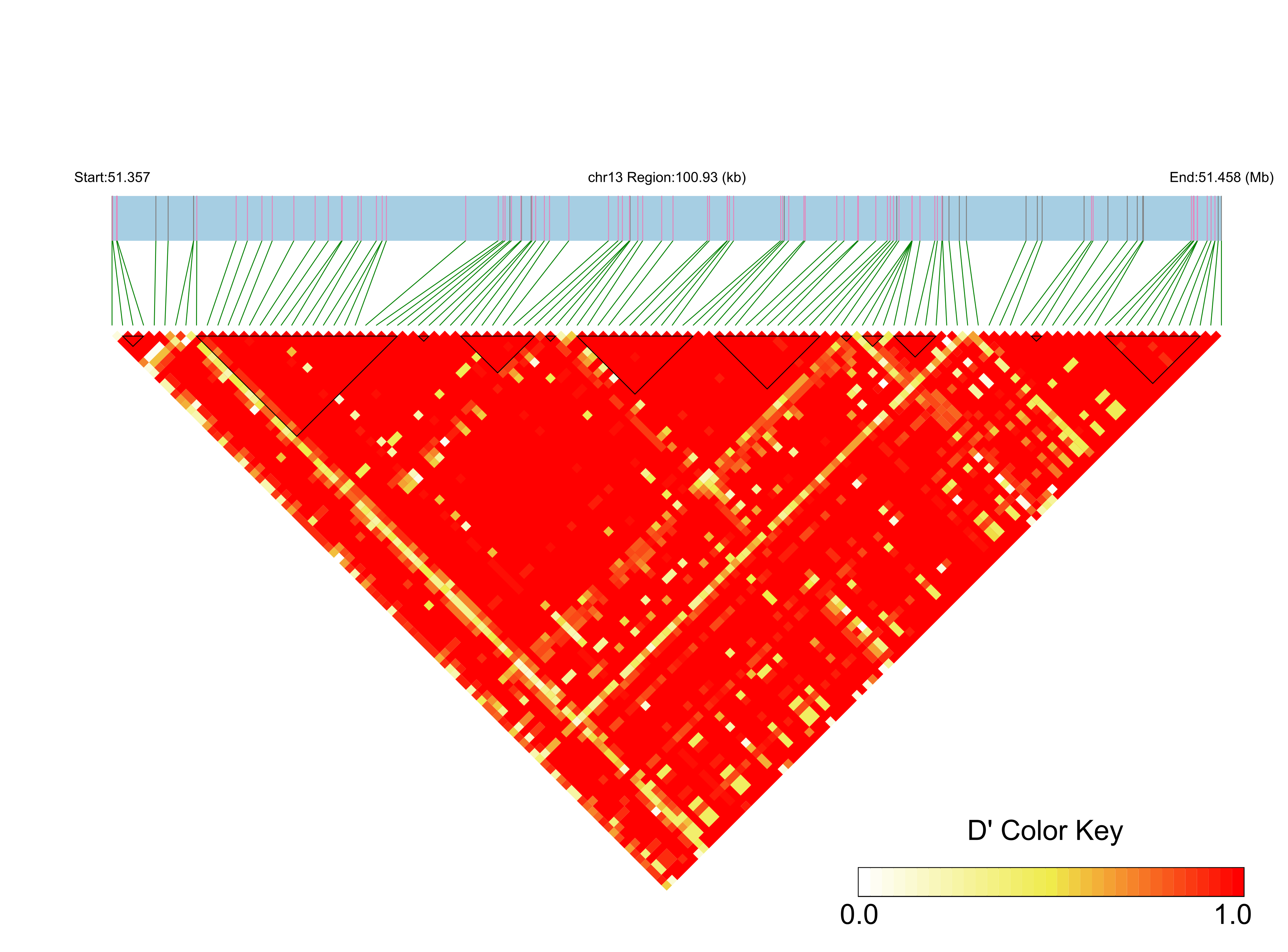 LD