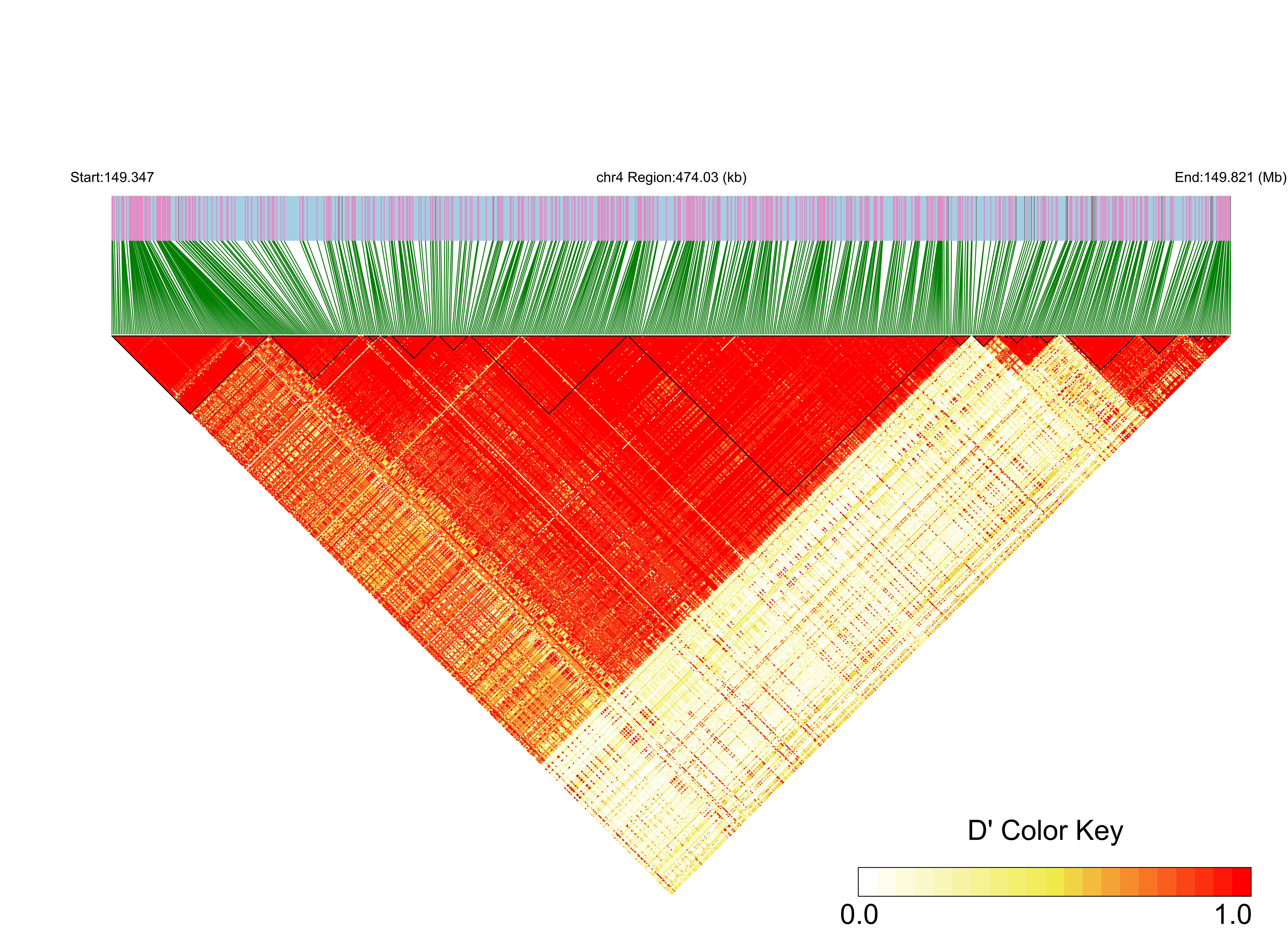LD