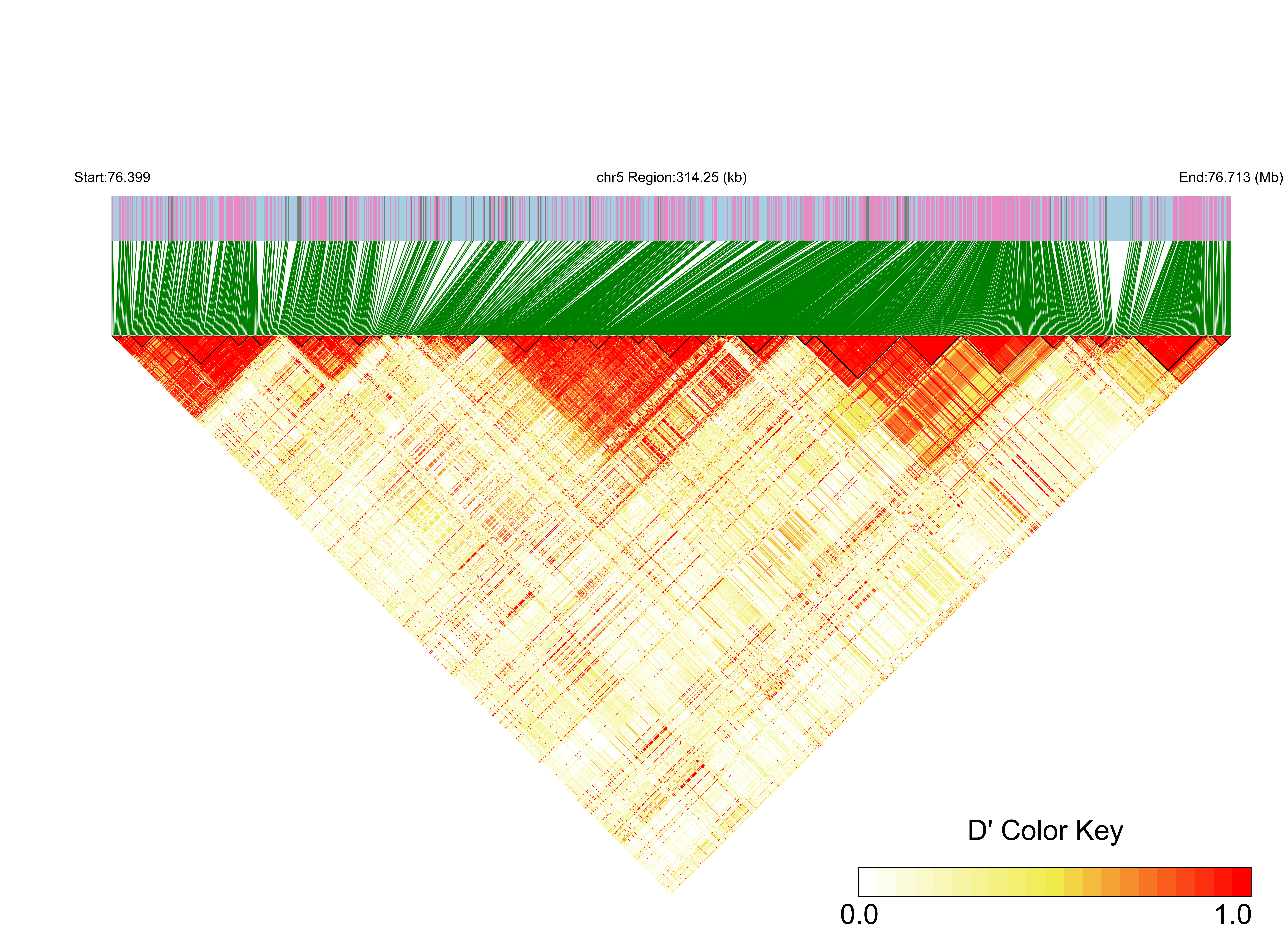 LD