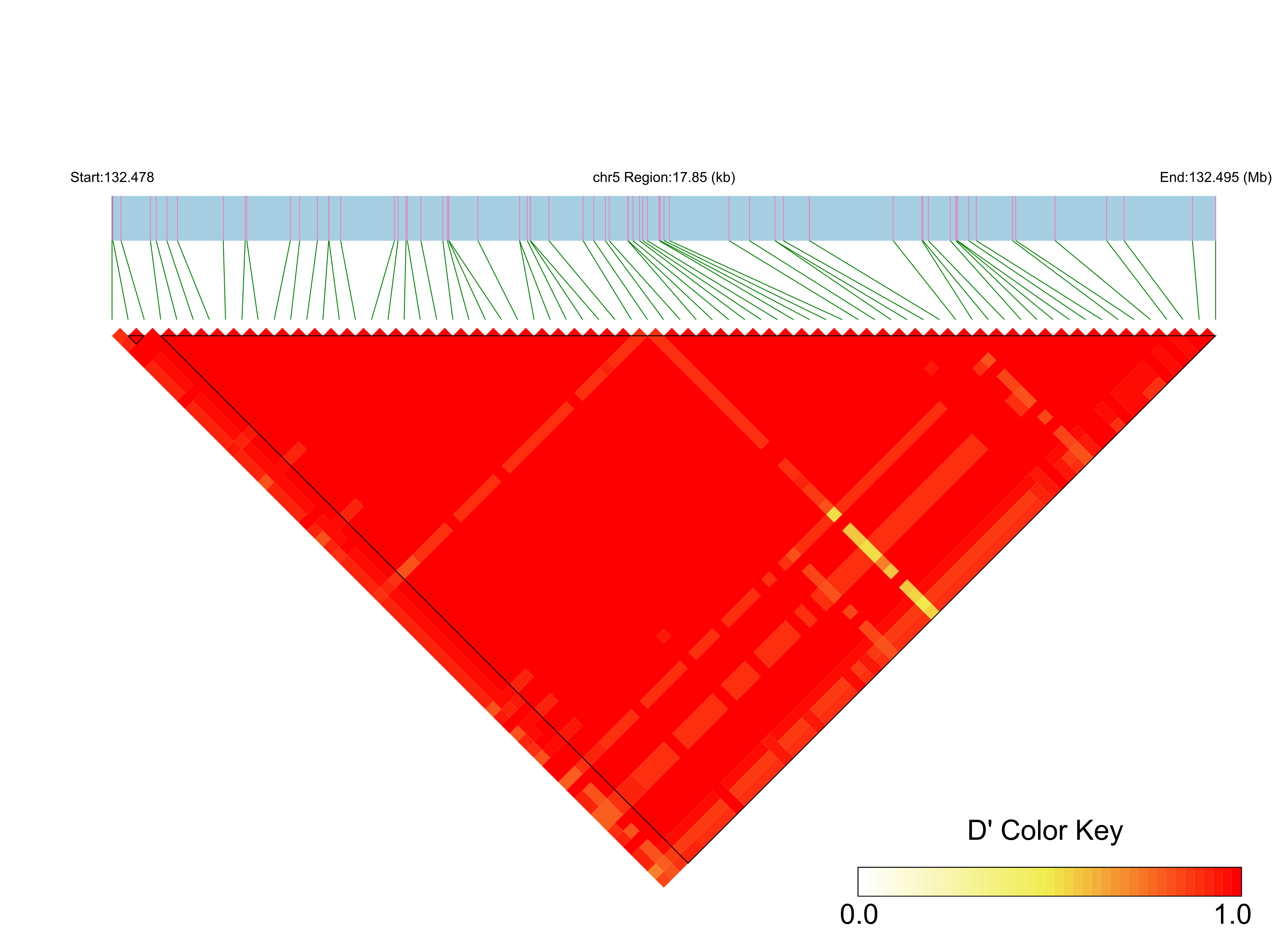 LD