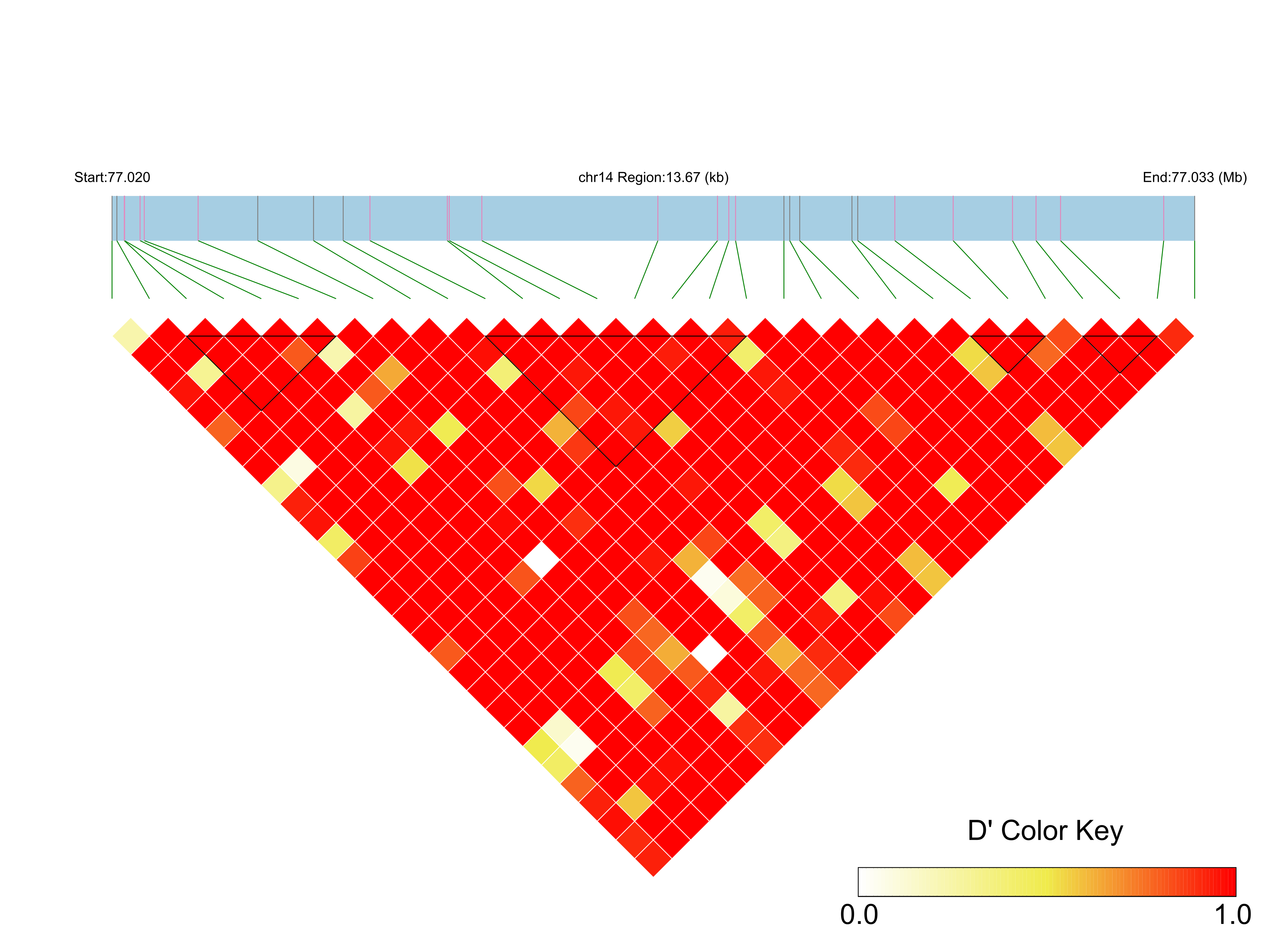 LD