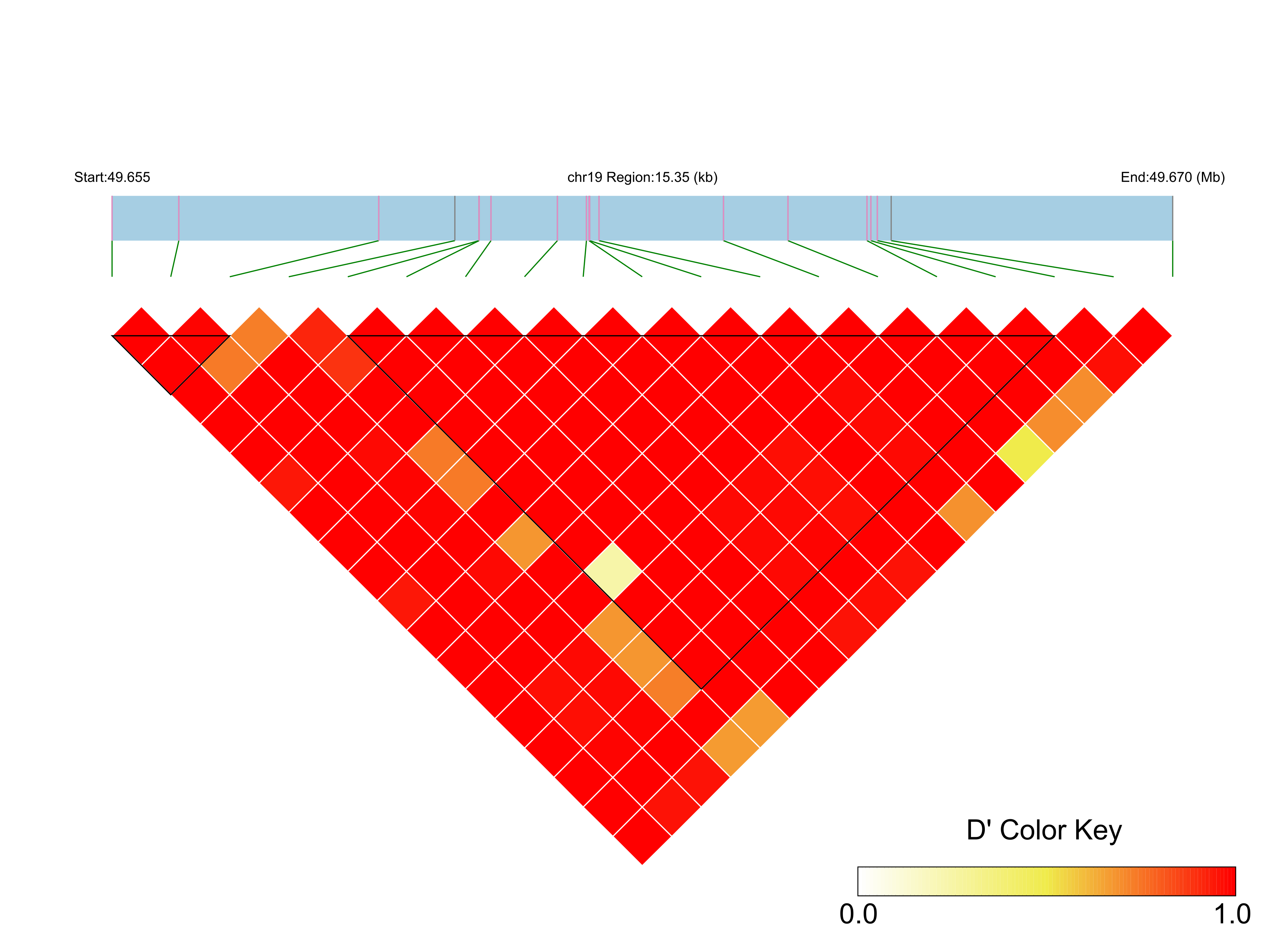 LD
