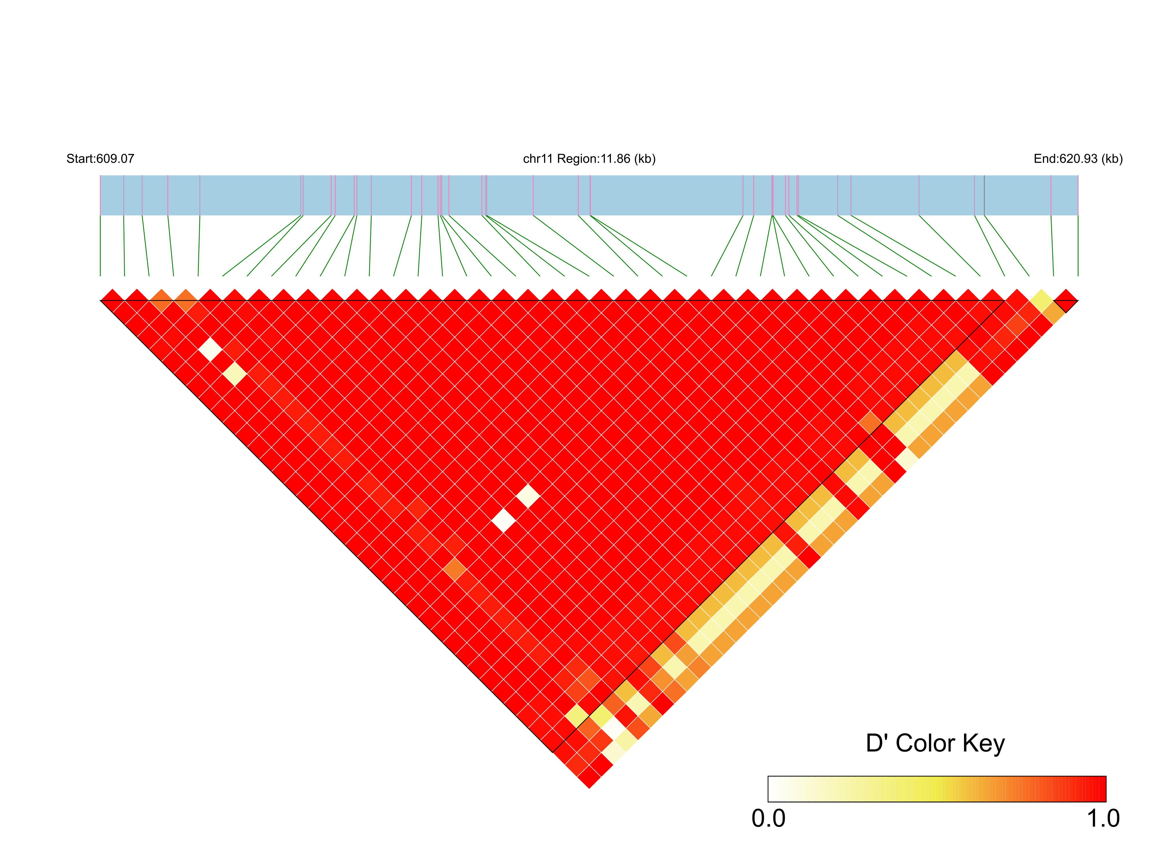 LD