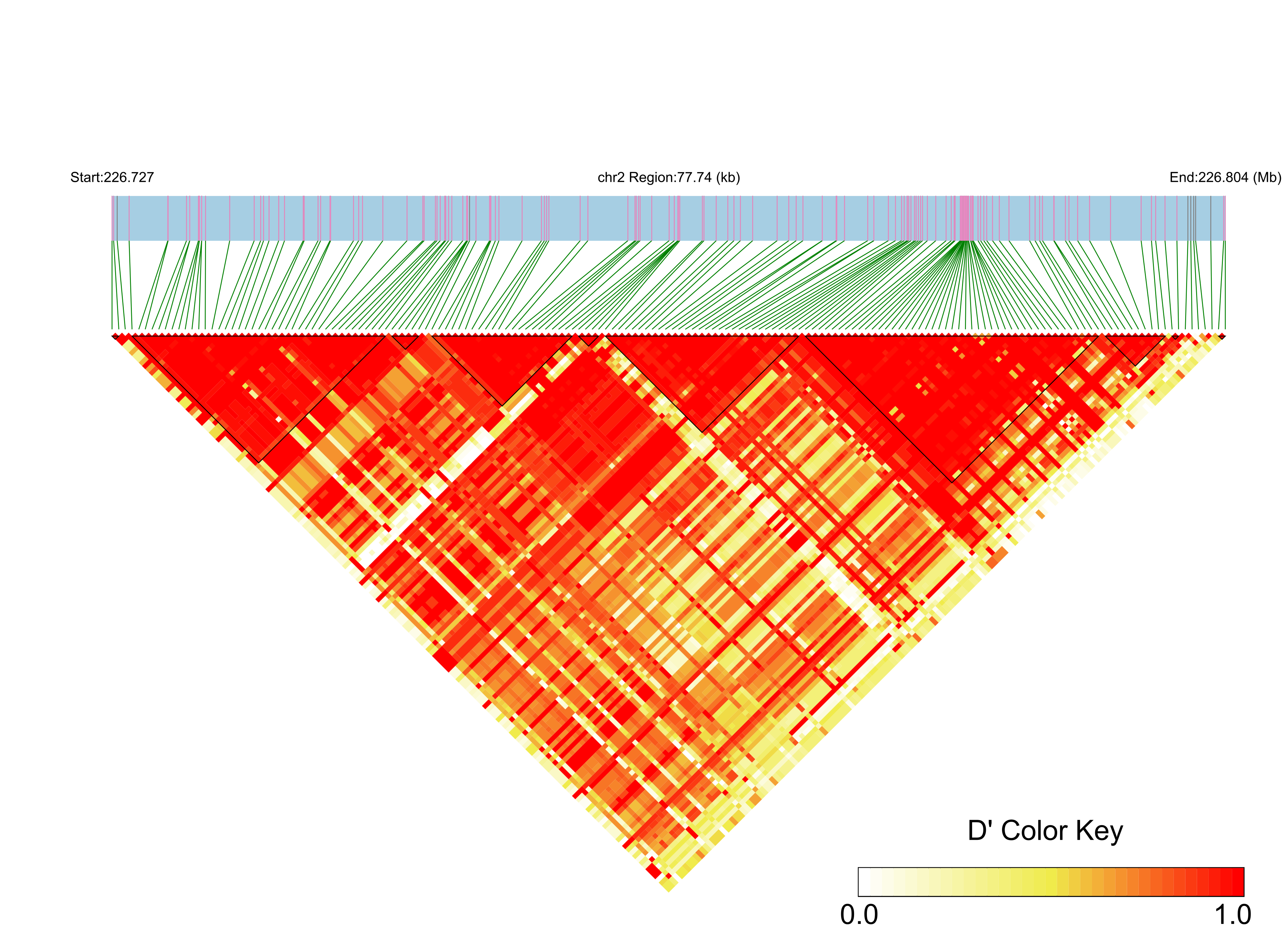 LD