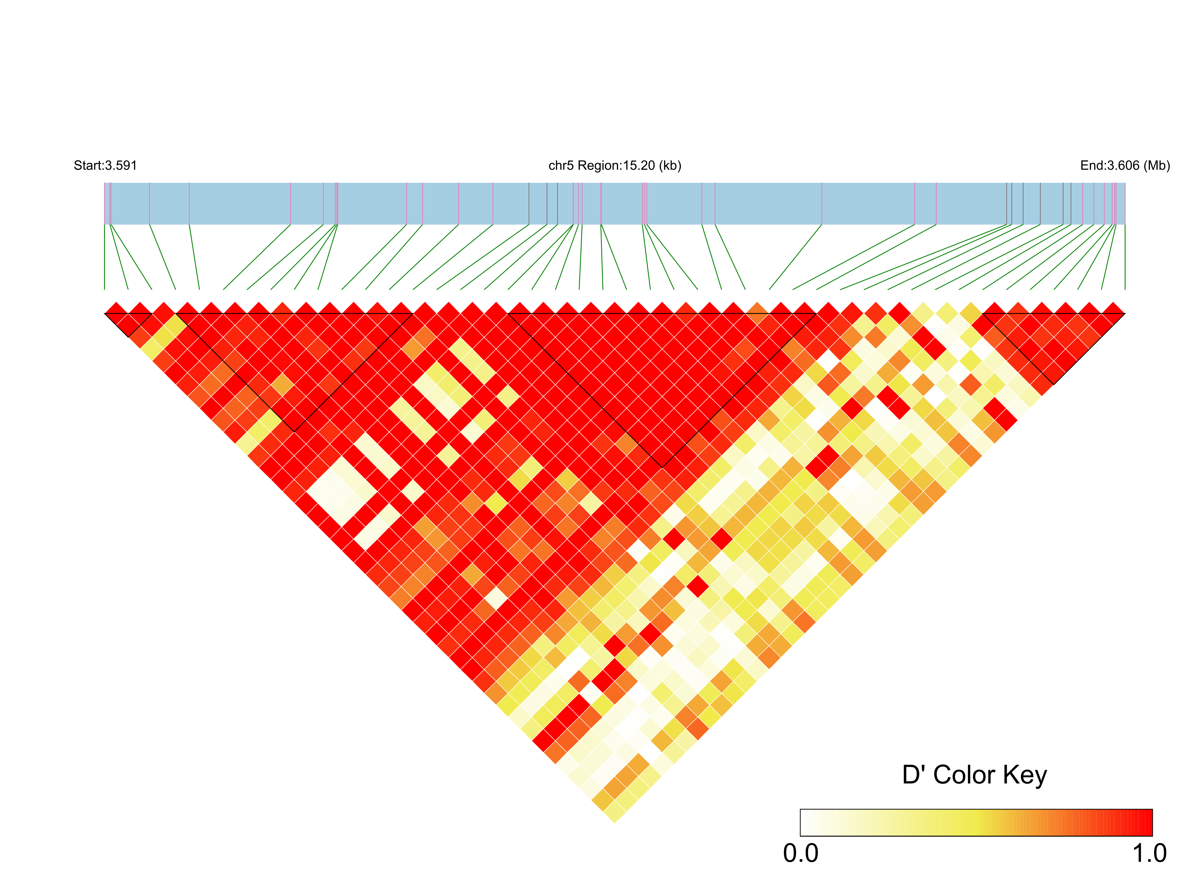 LD