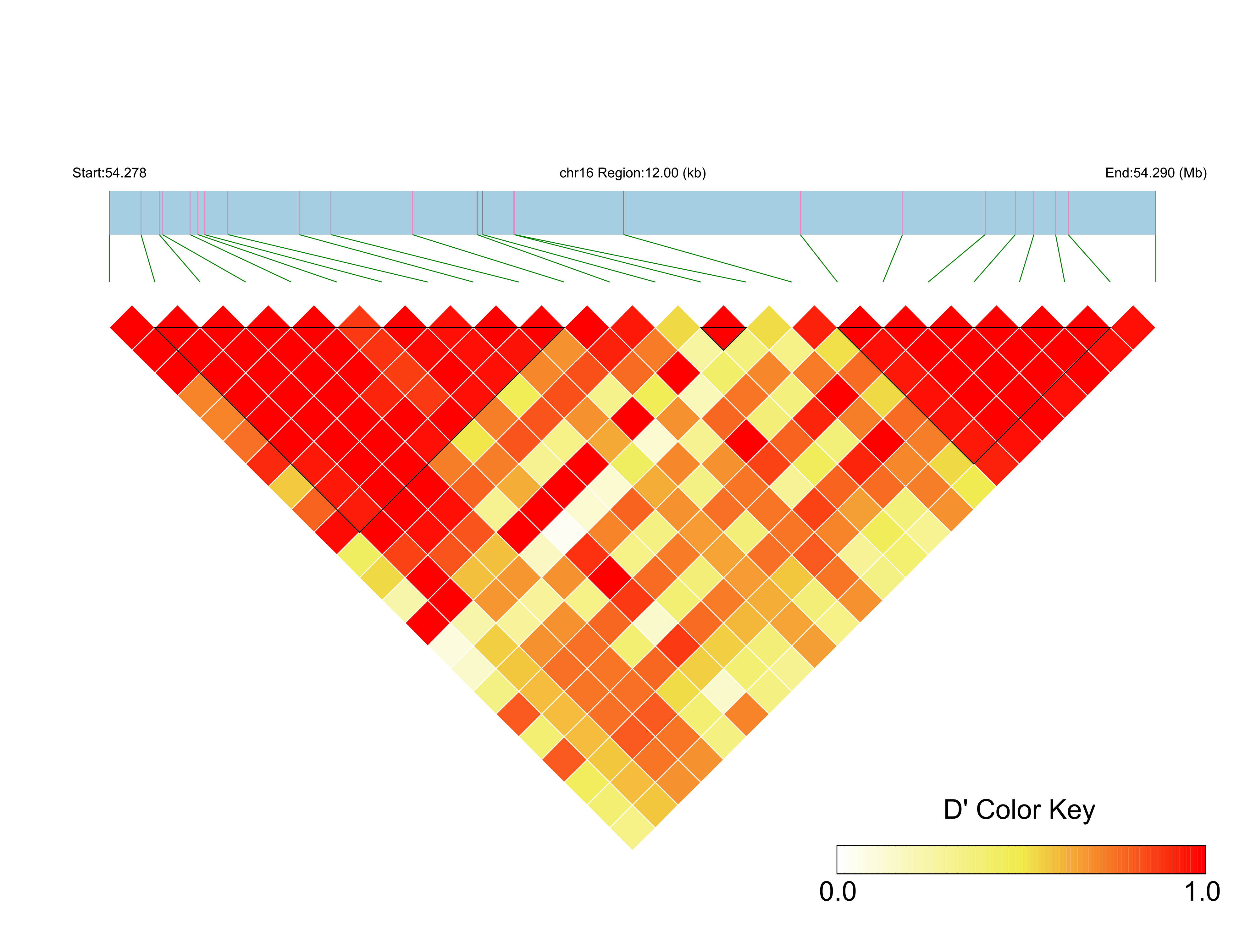 LD