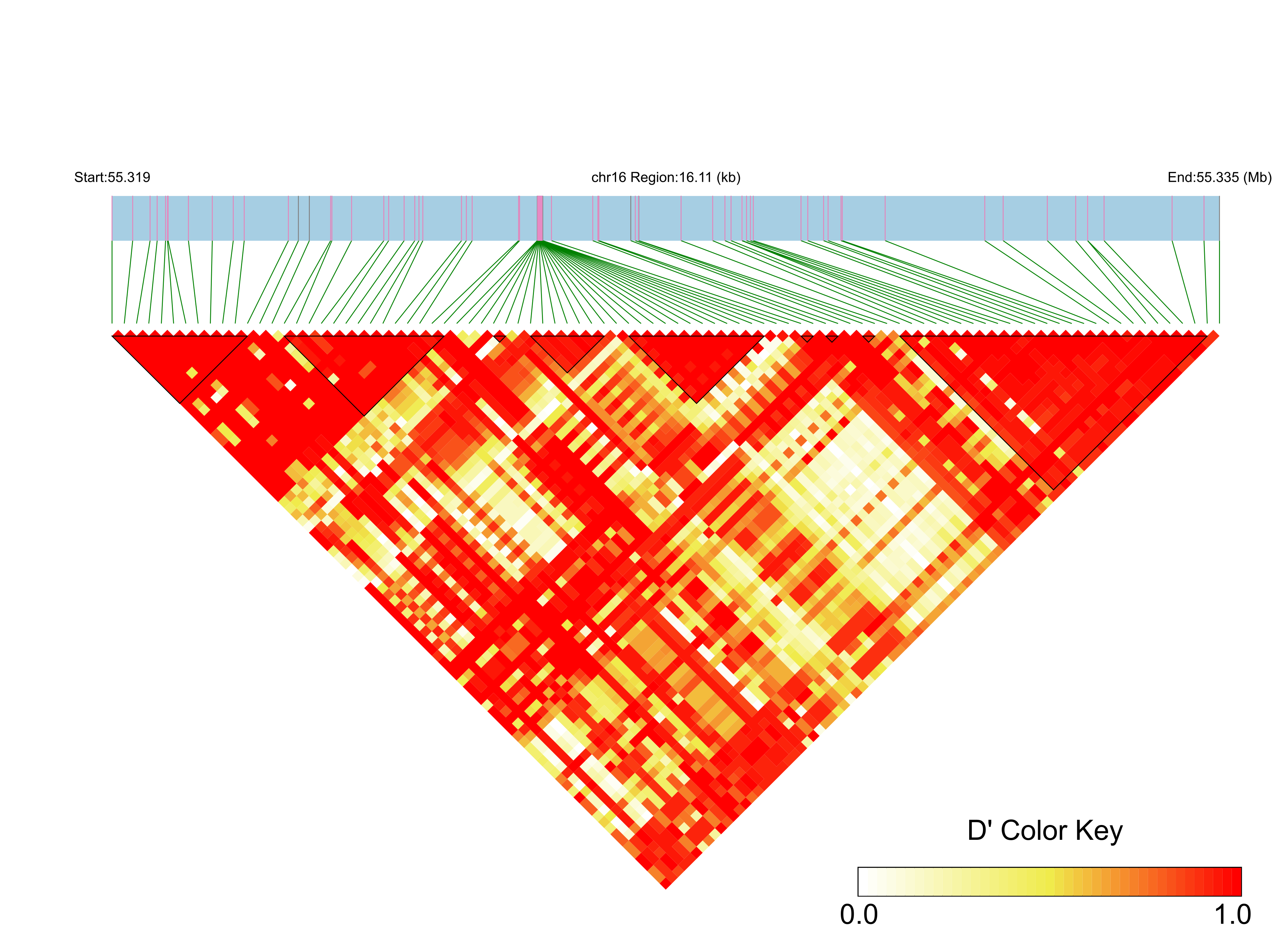 LD