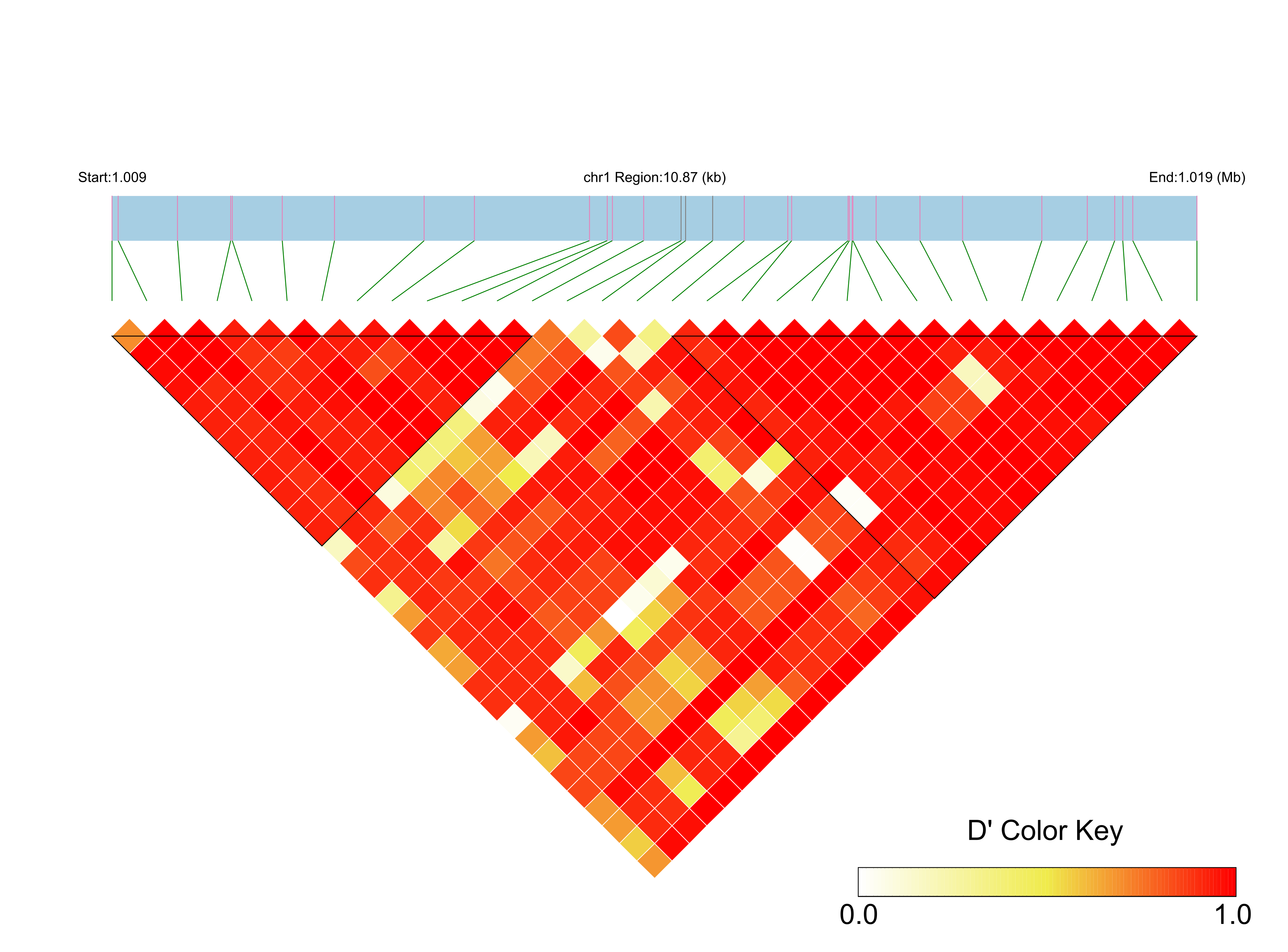LD