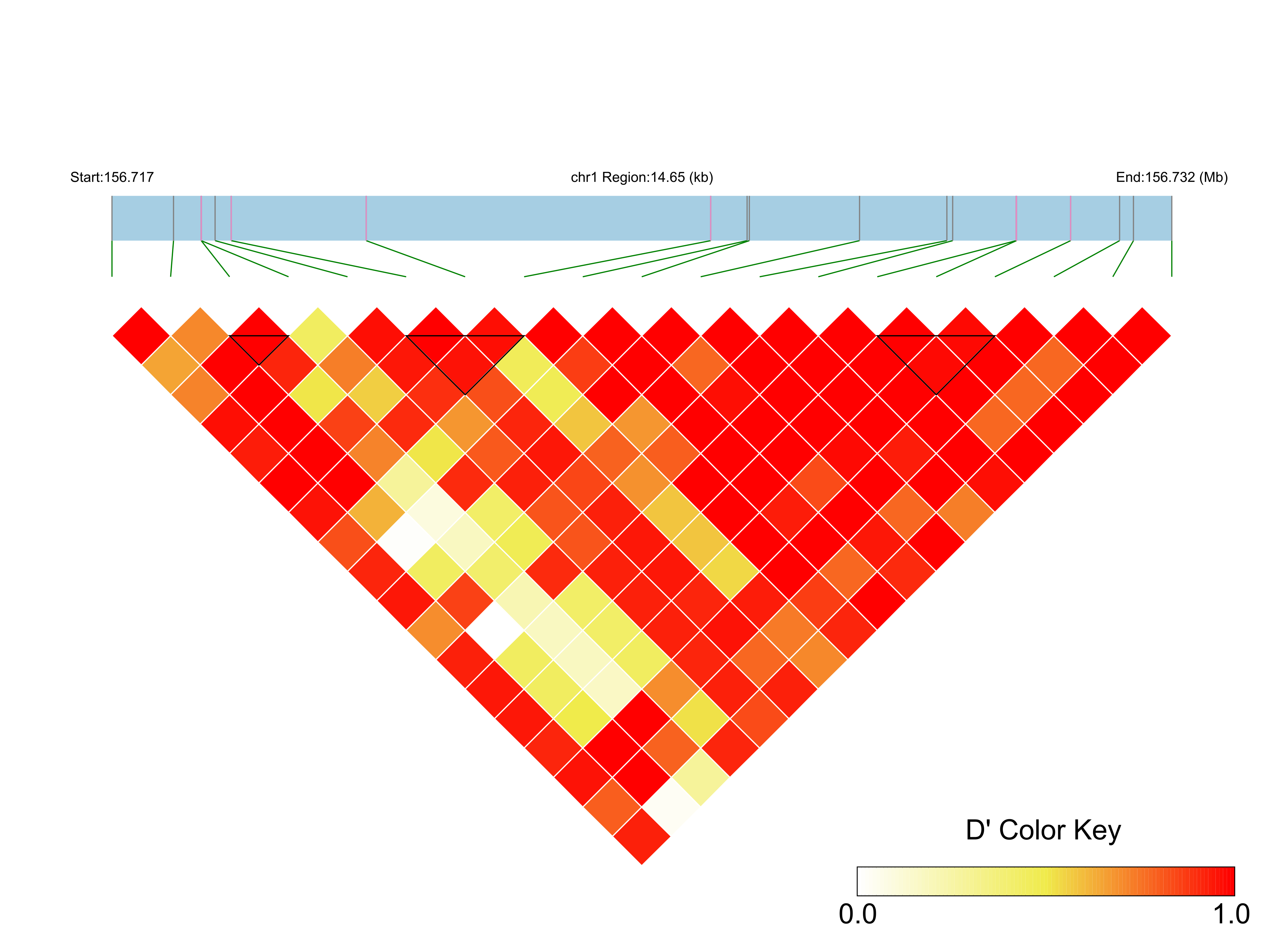 LD