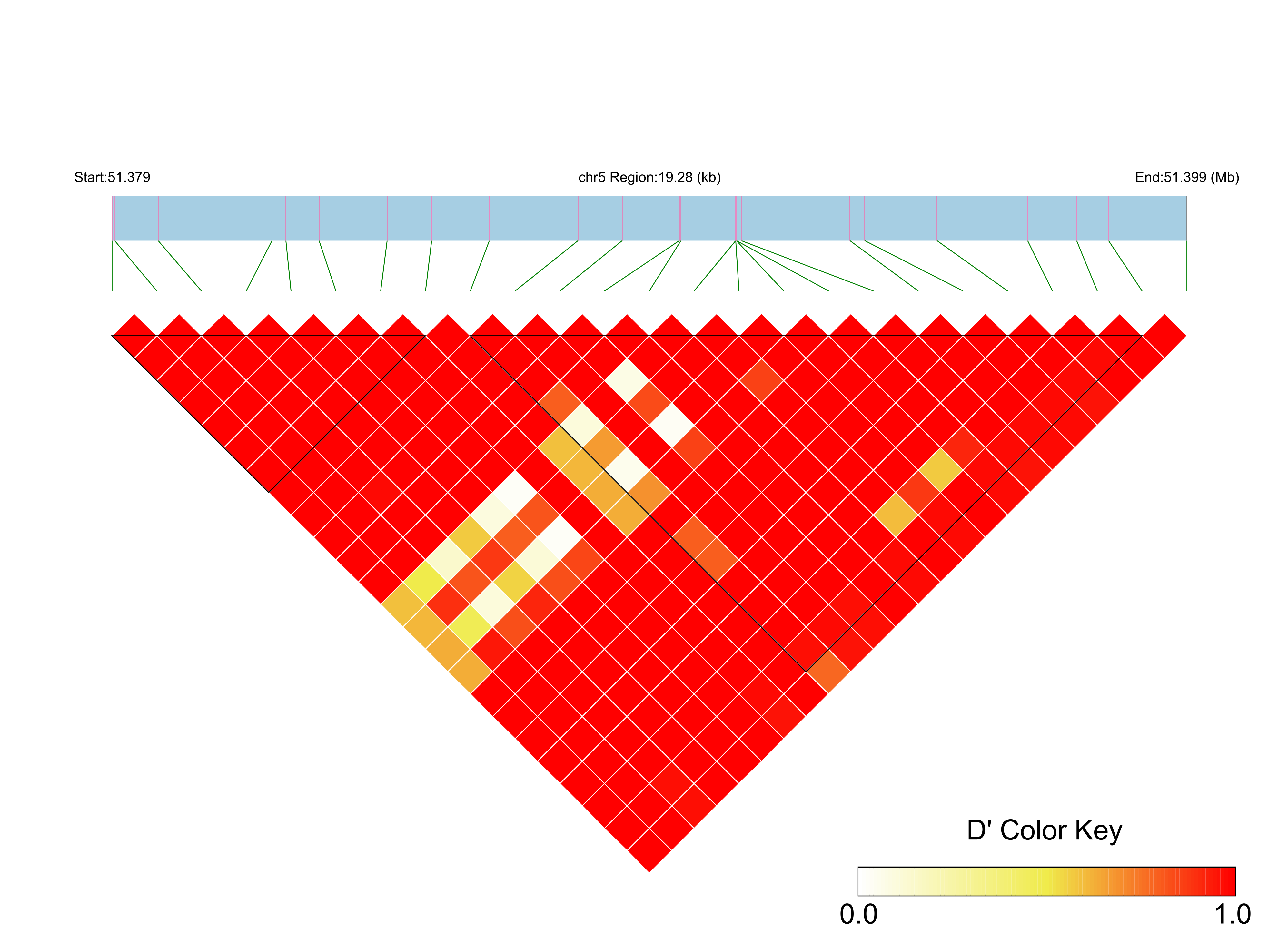 LD