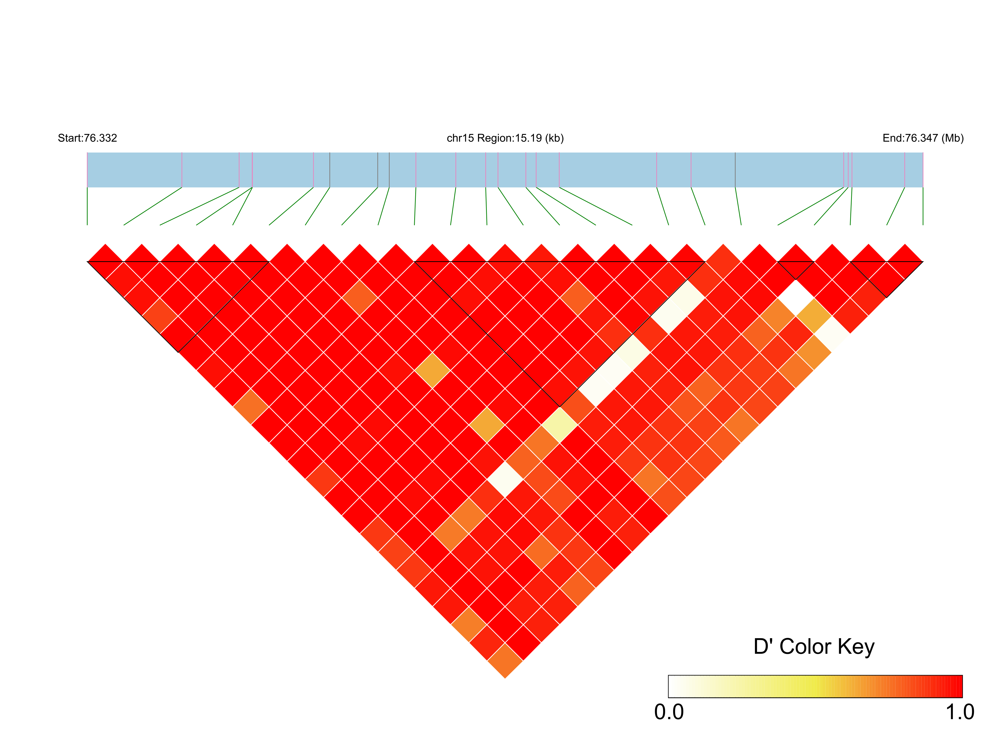 LD