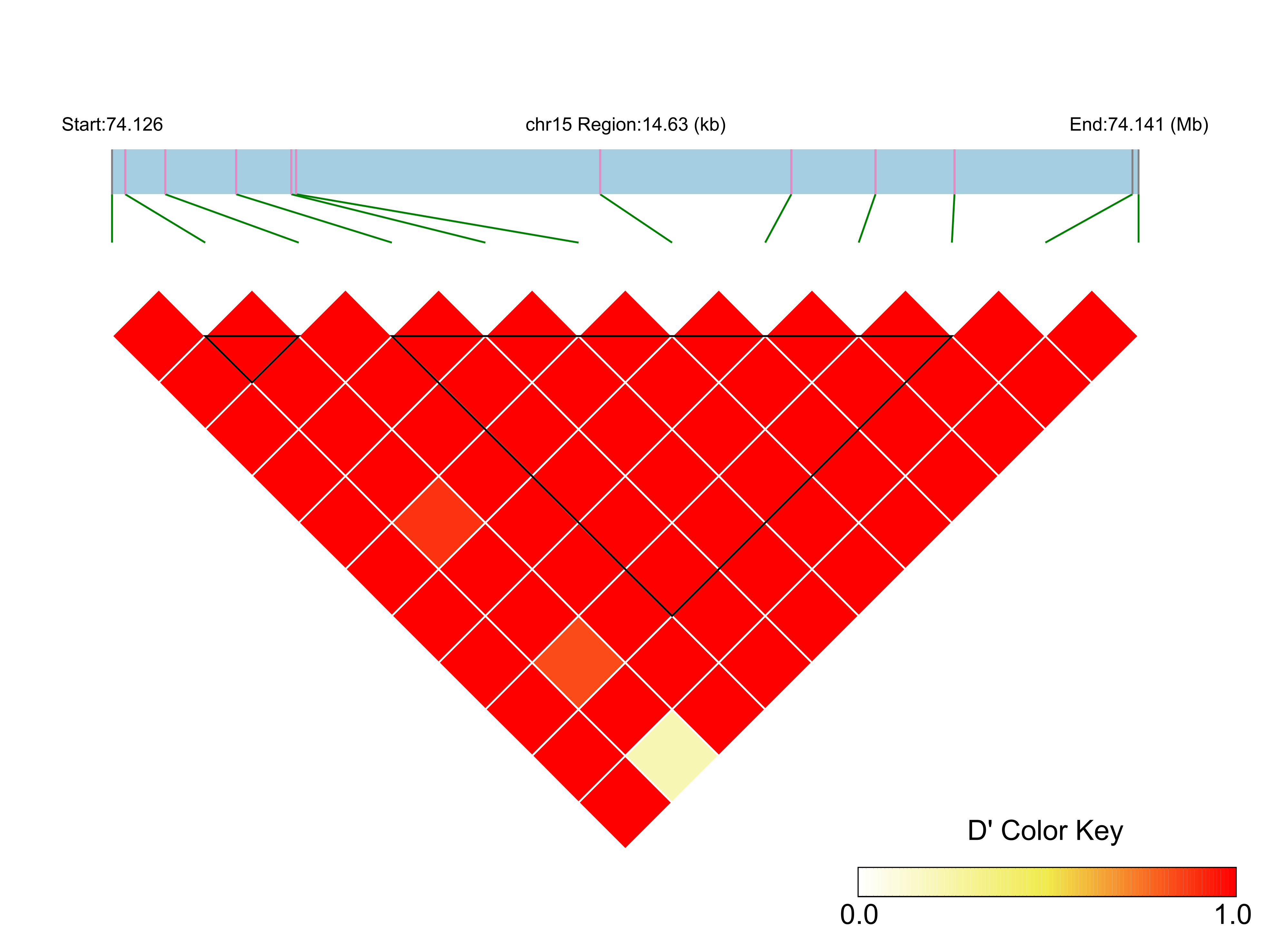 LD