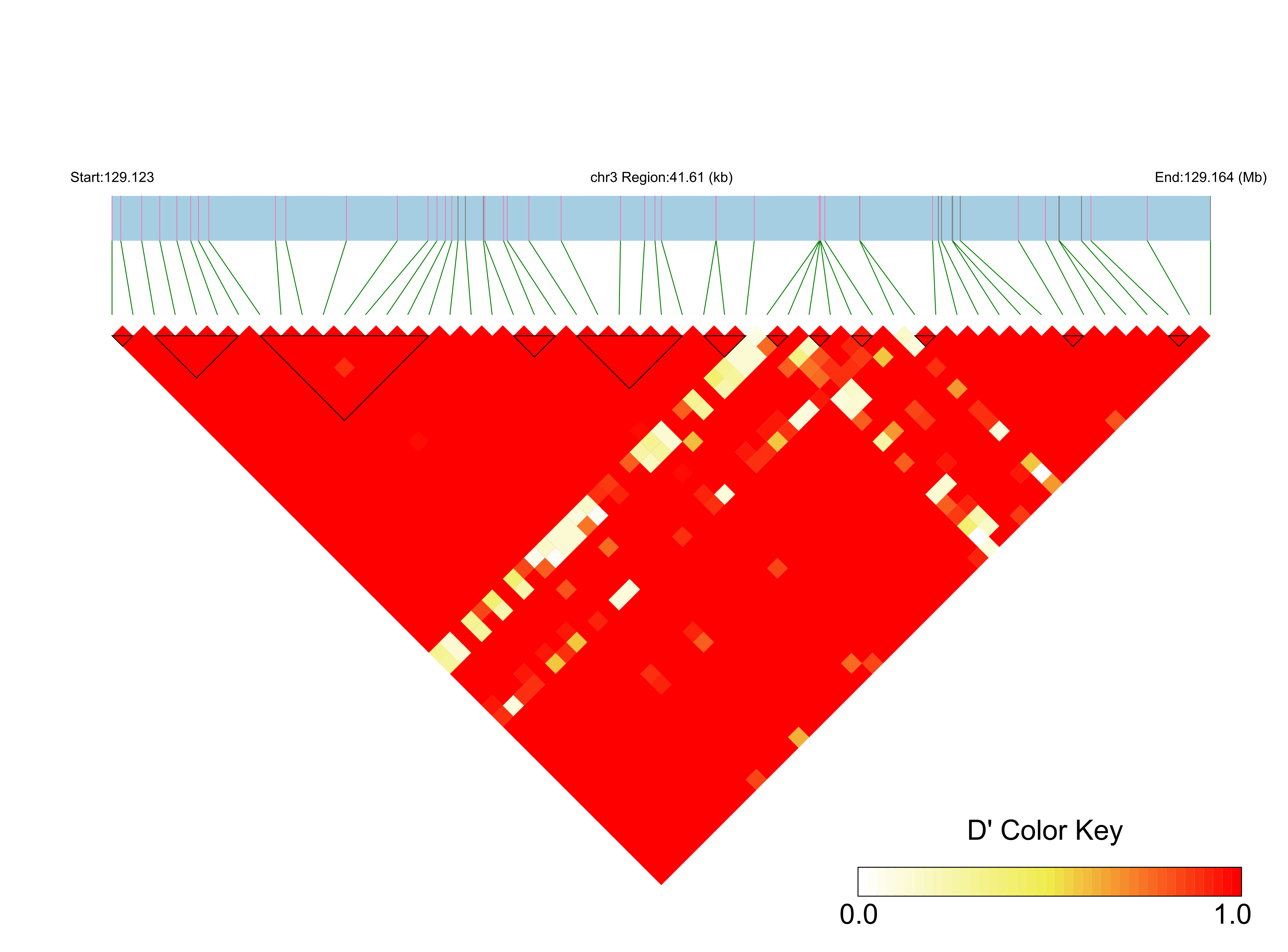 LD