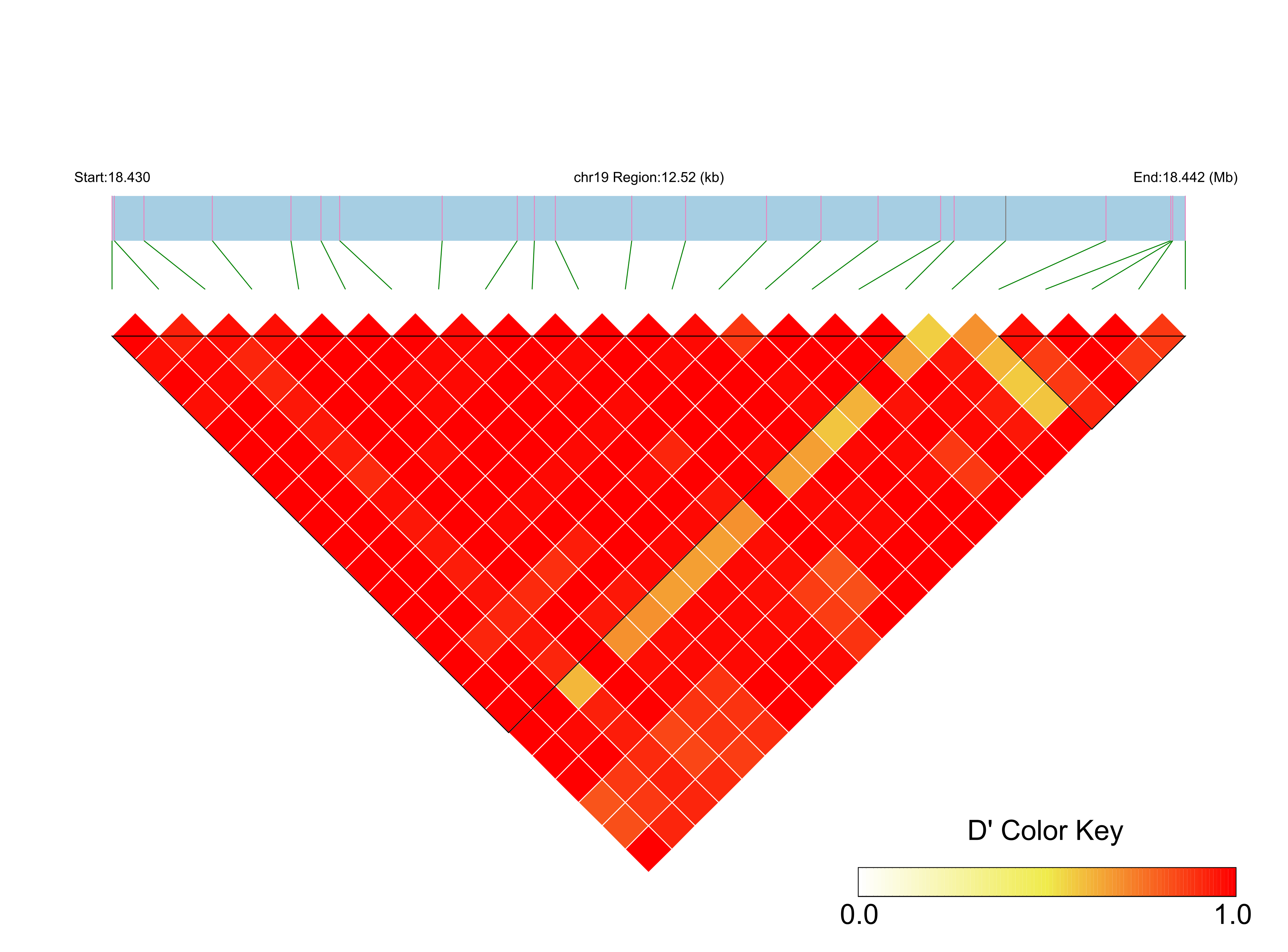 LD