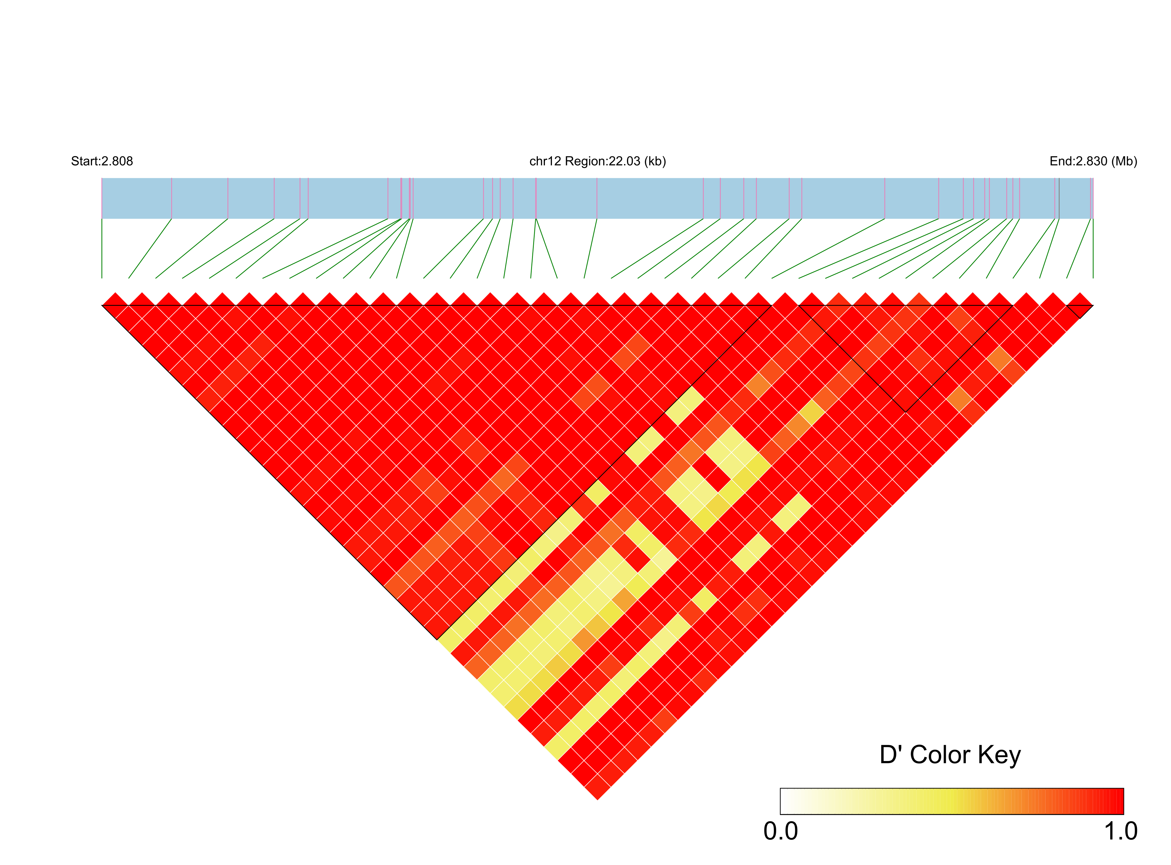 LD