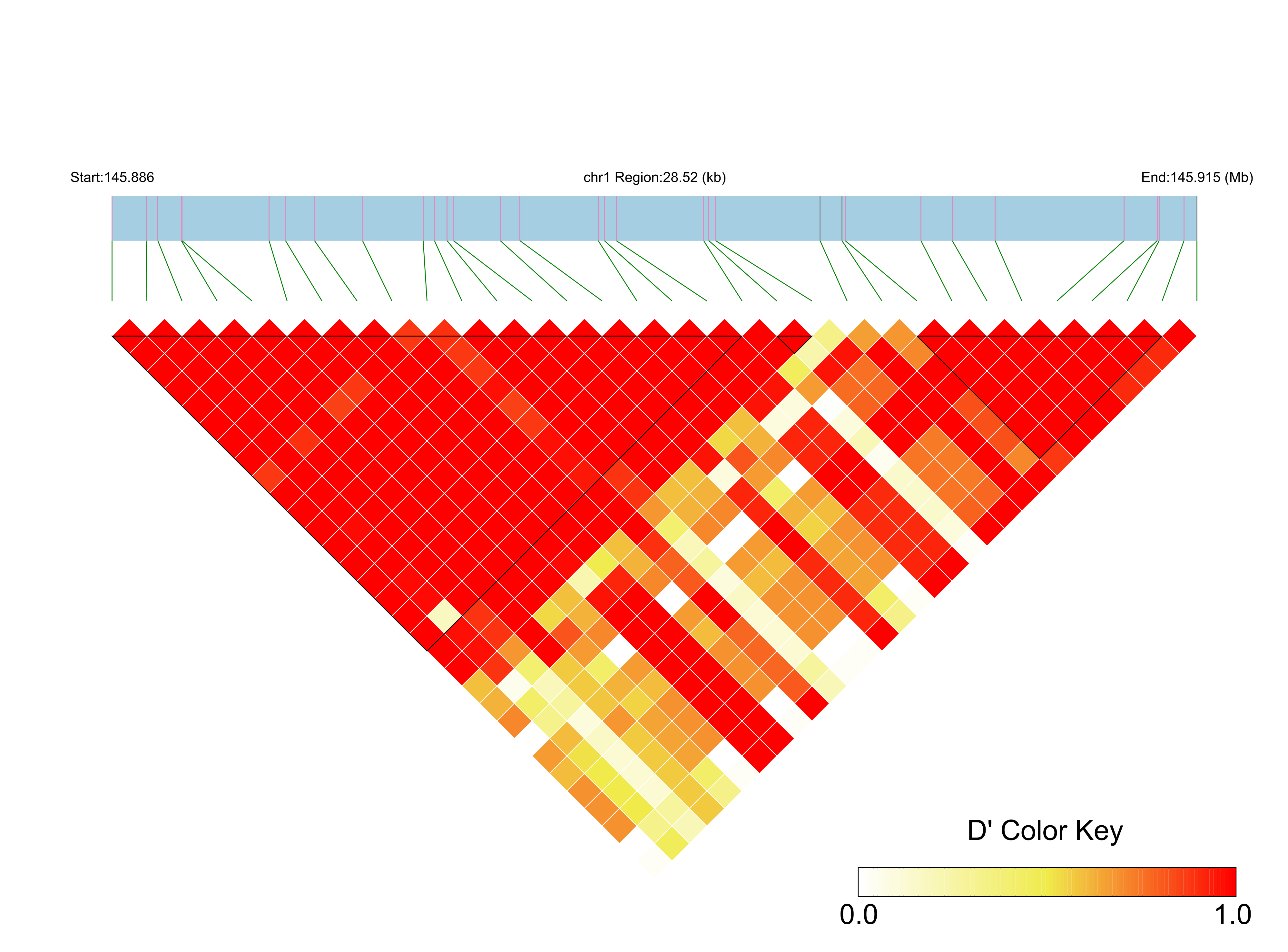 LD