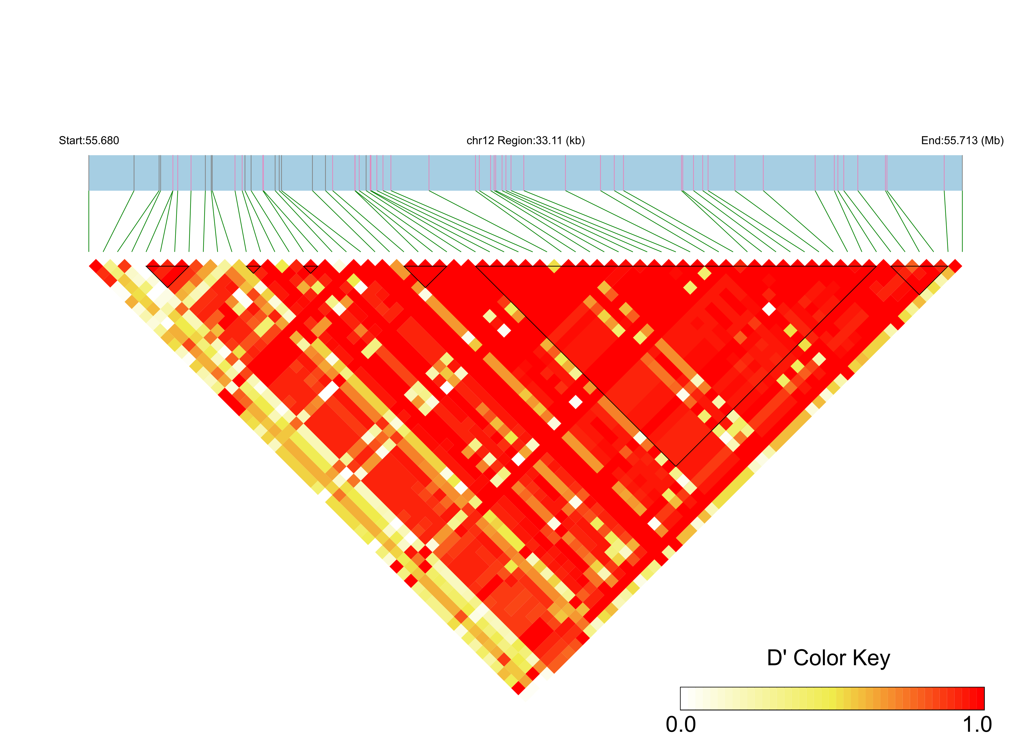 LD