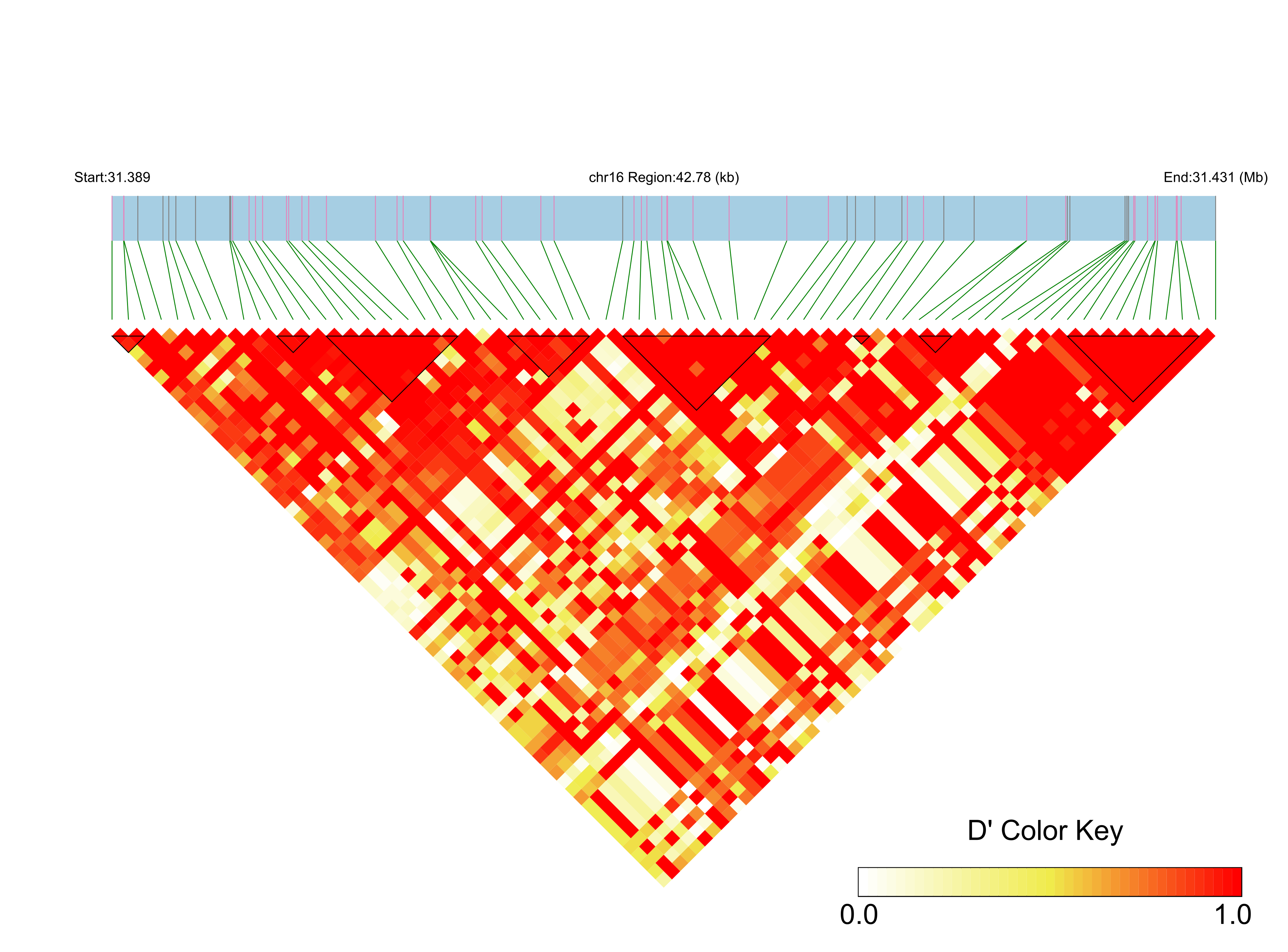 LD
