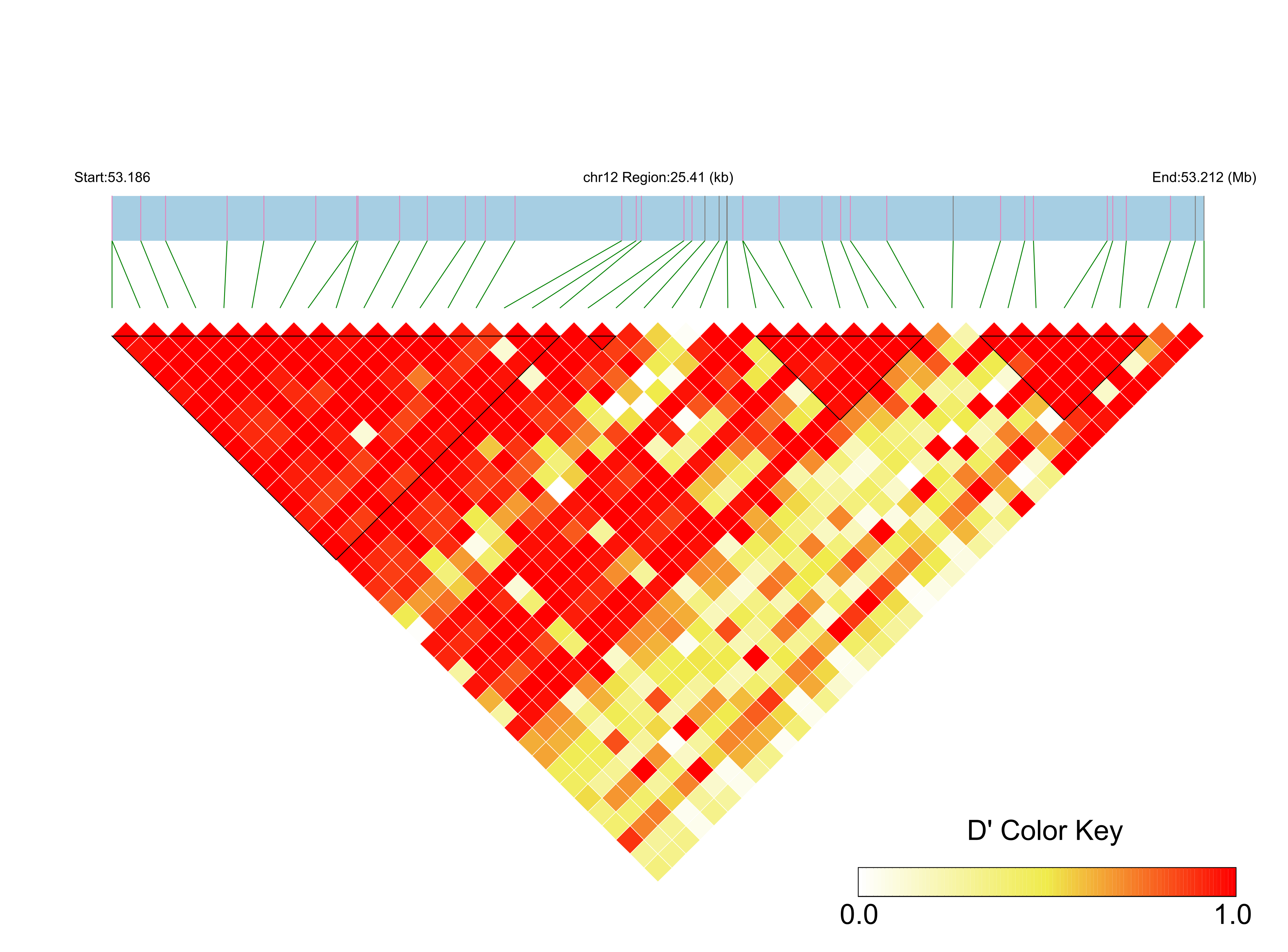 LD