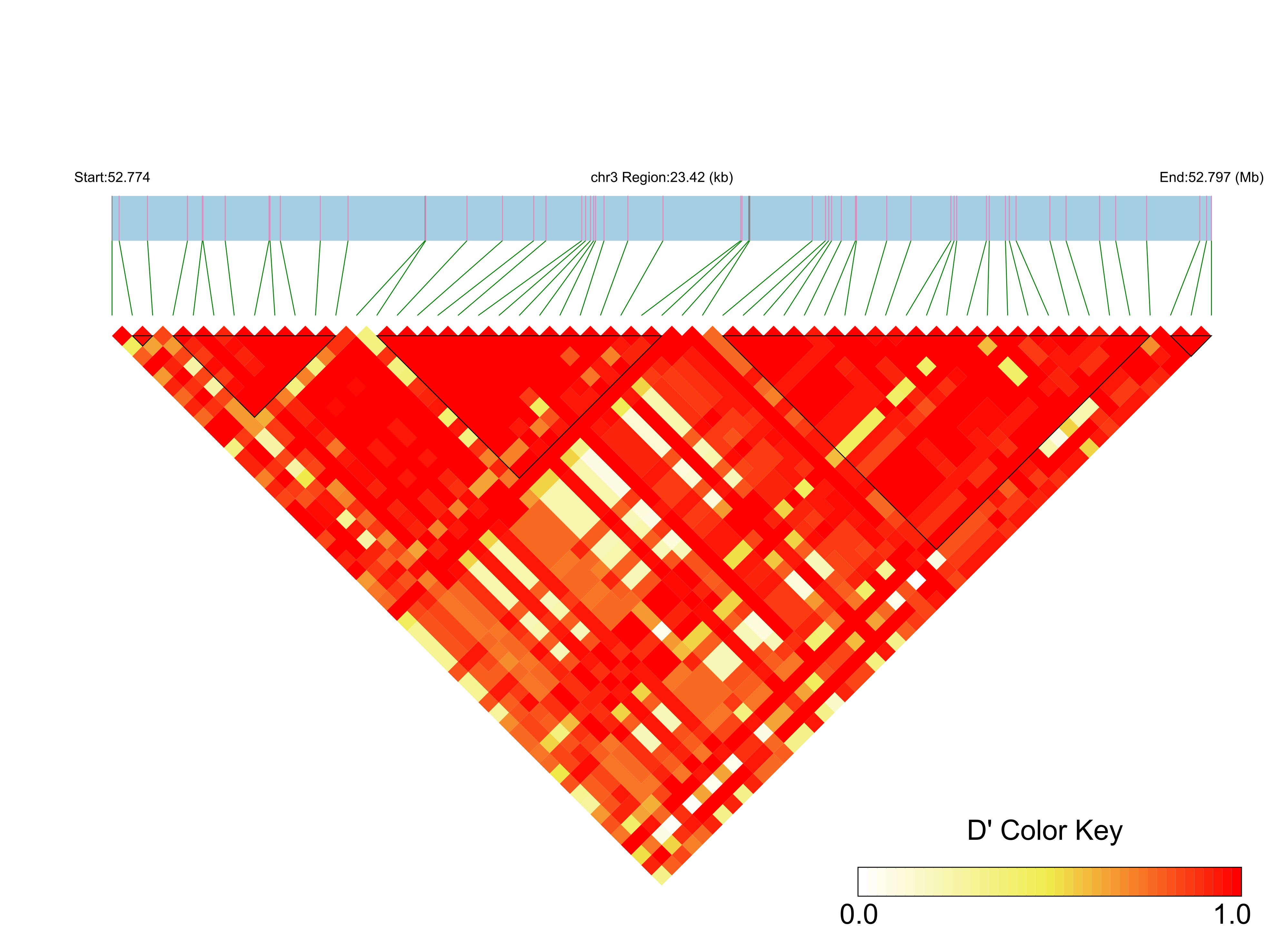 LD