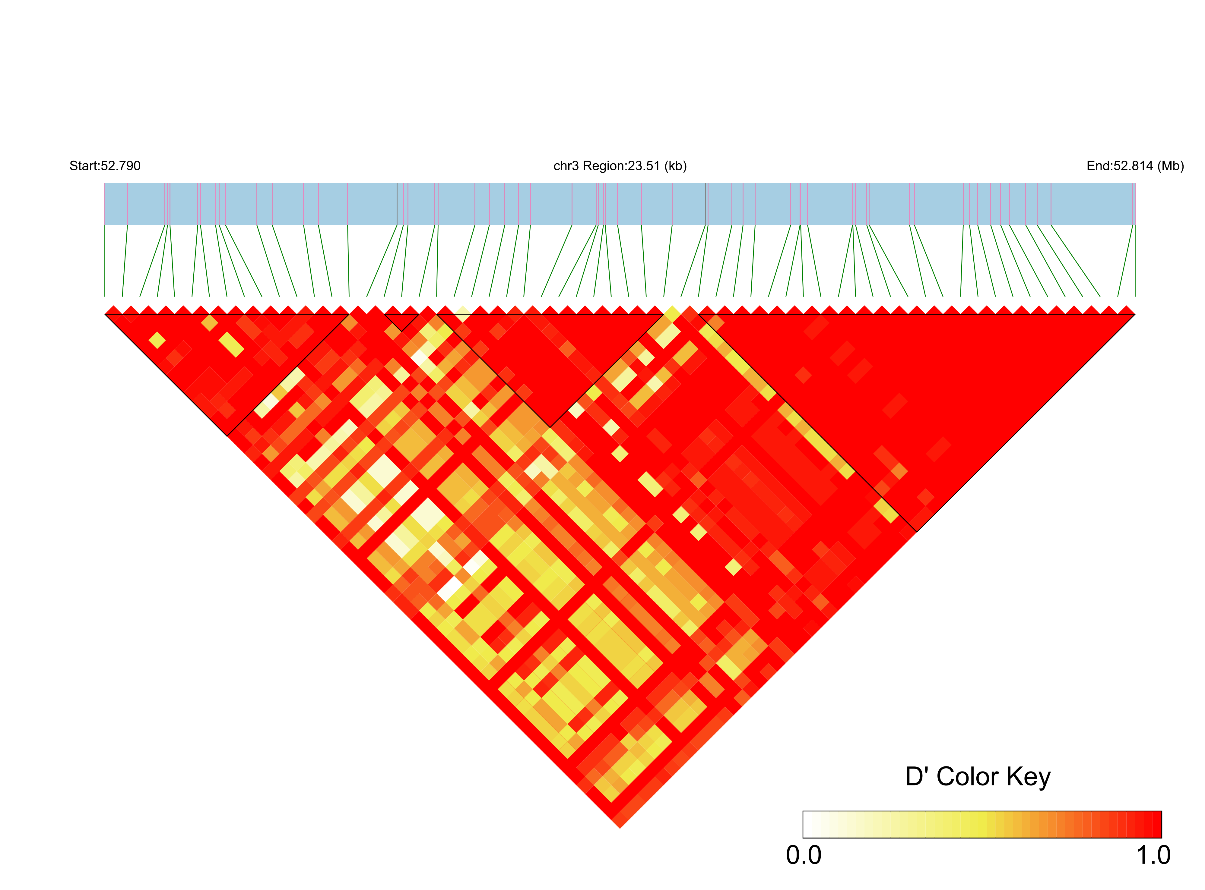 LD
