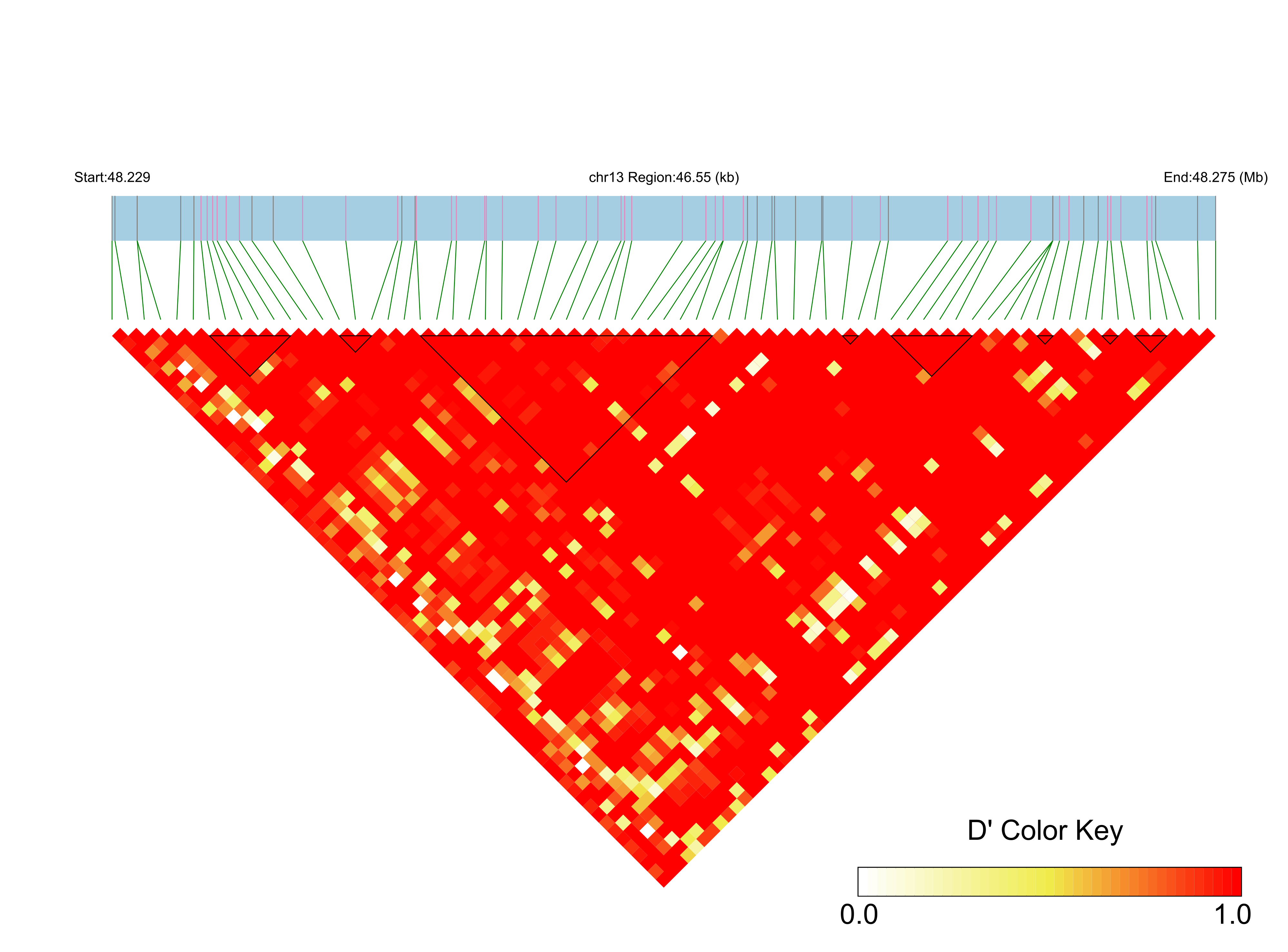 LD