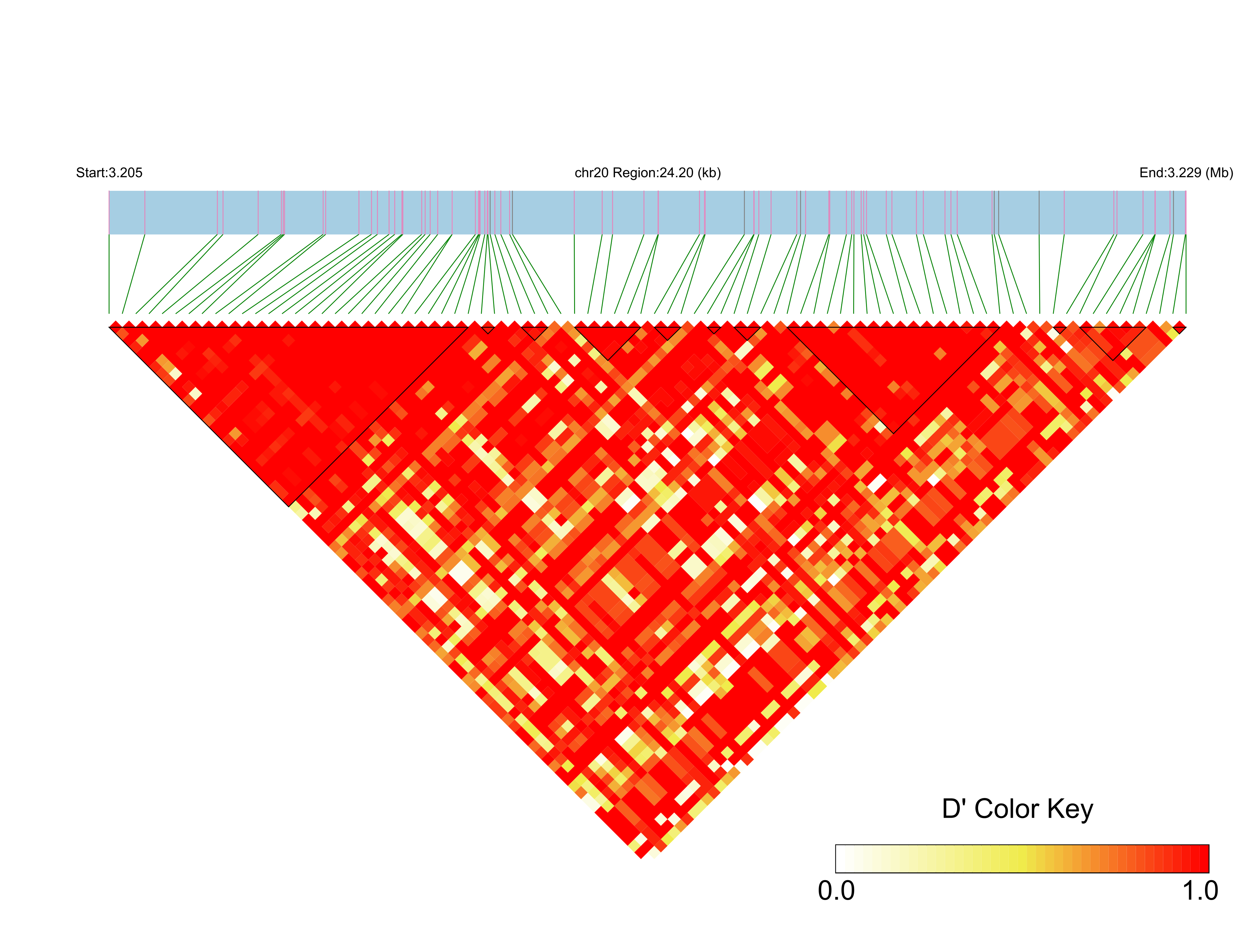 LD
