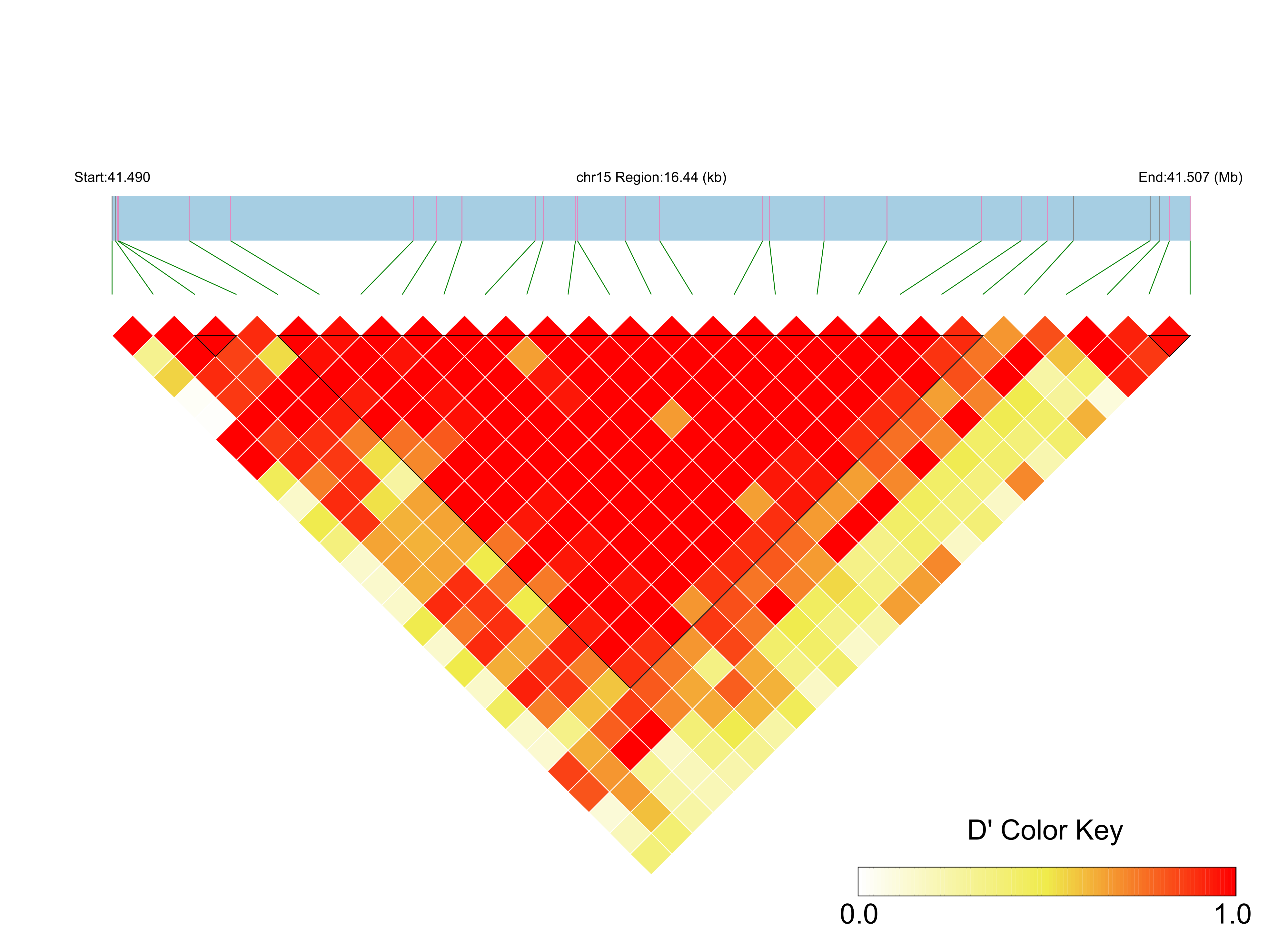 LD
