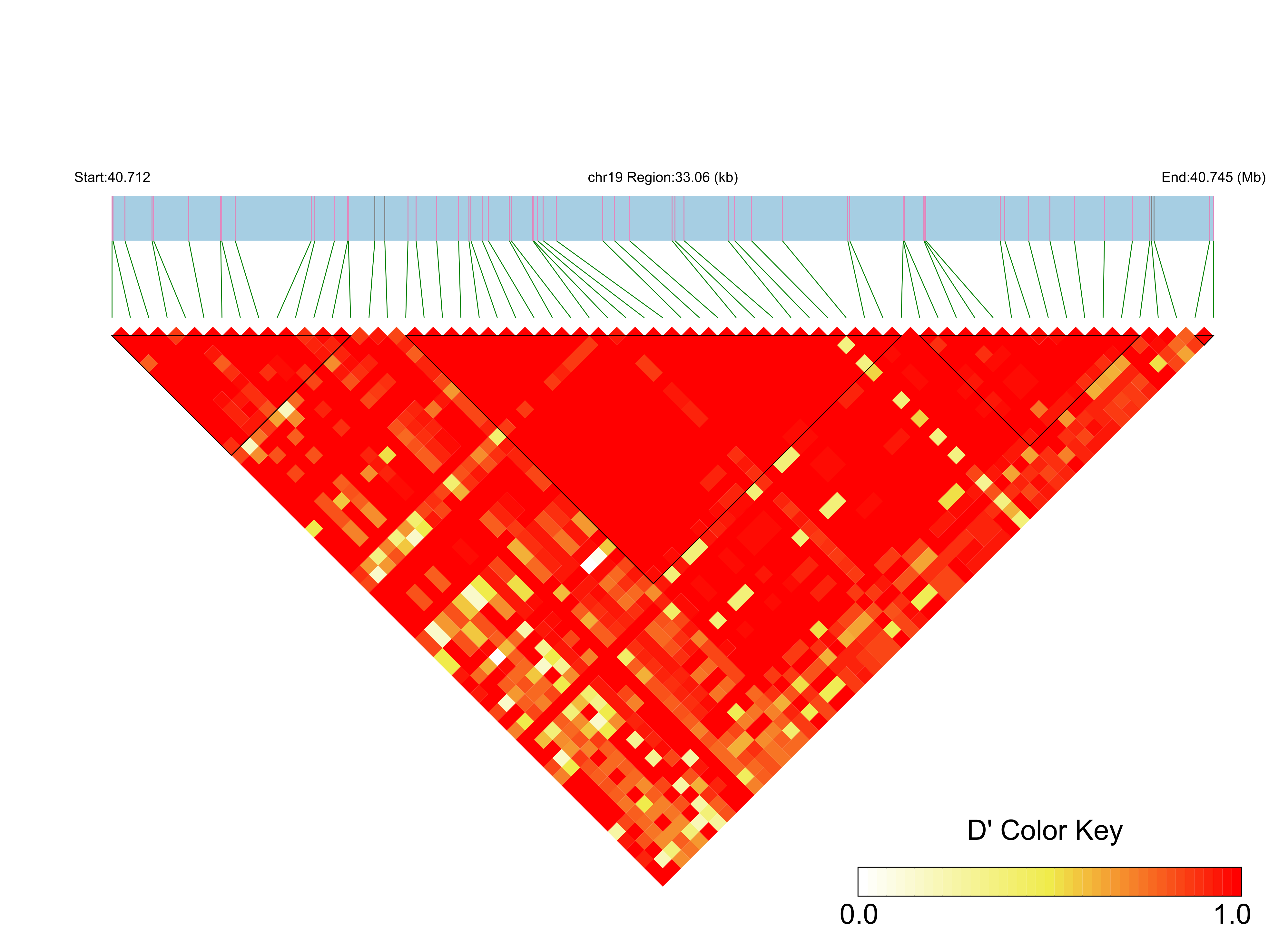 LD