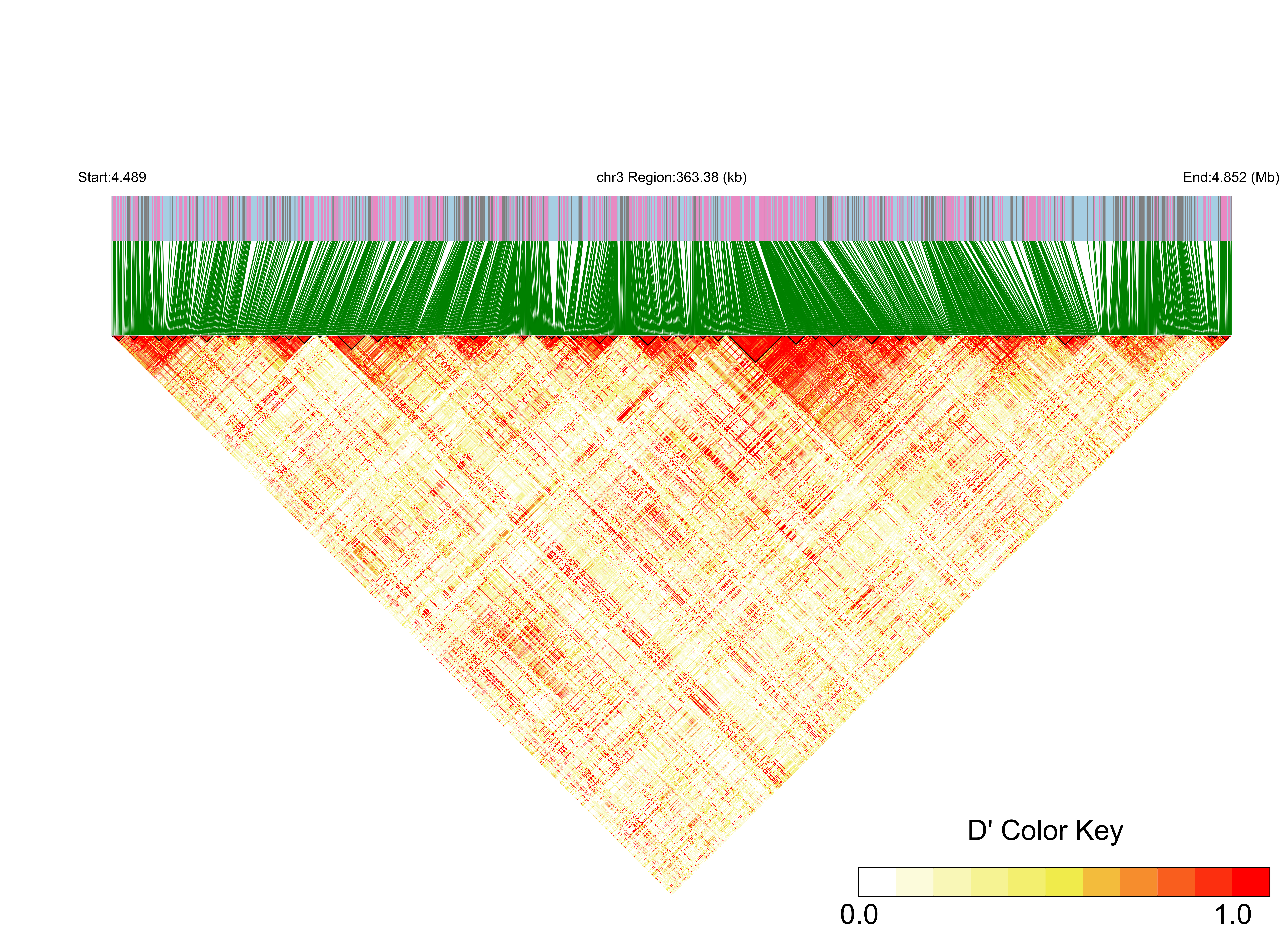 LD