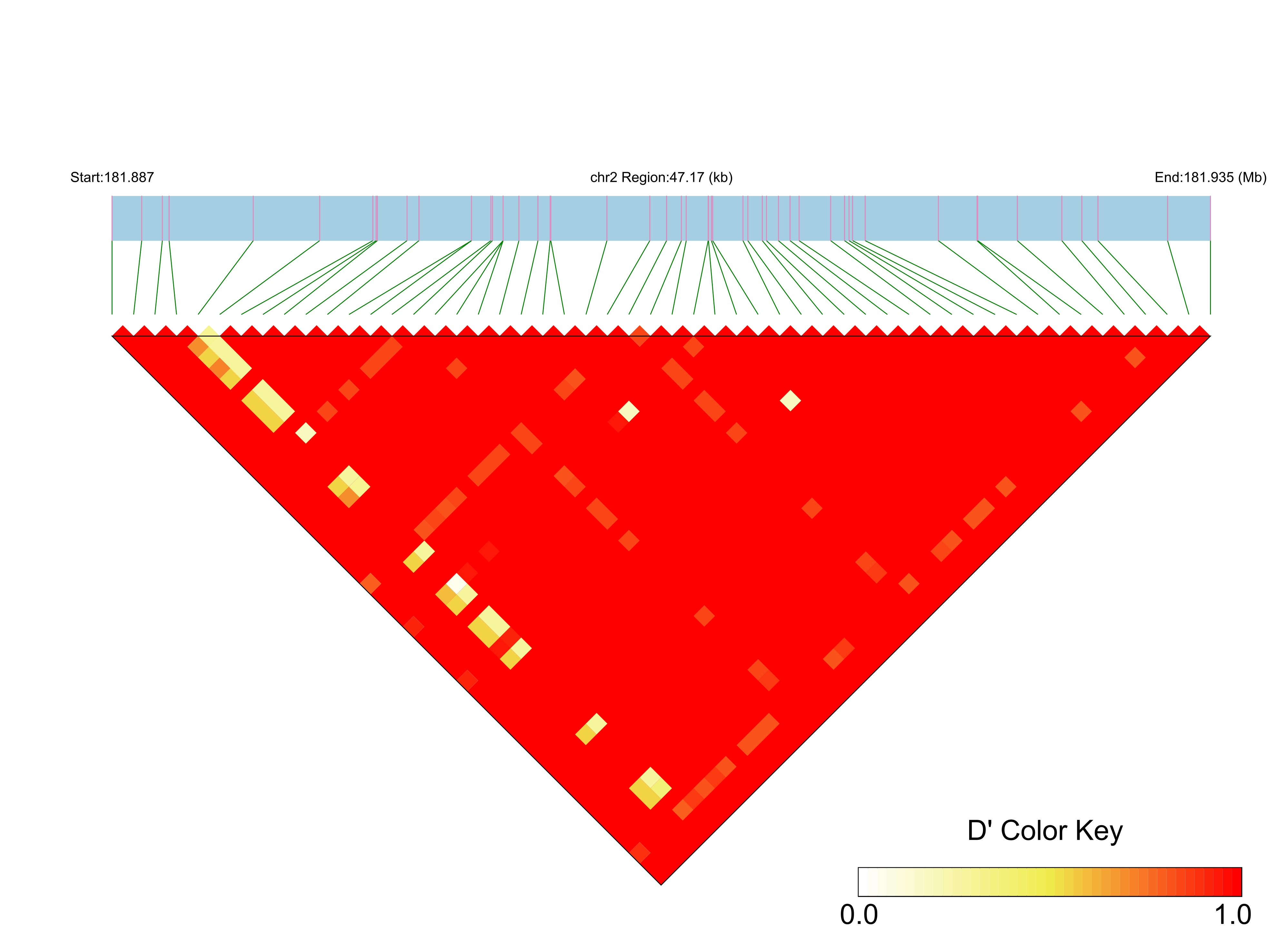 LD