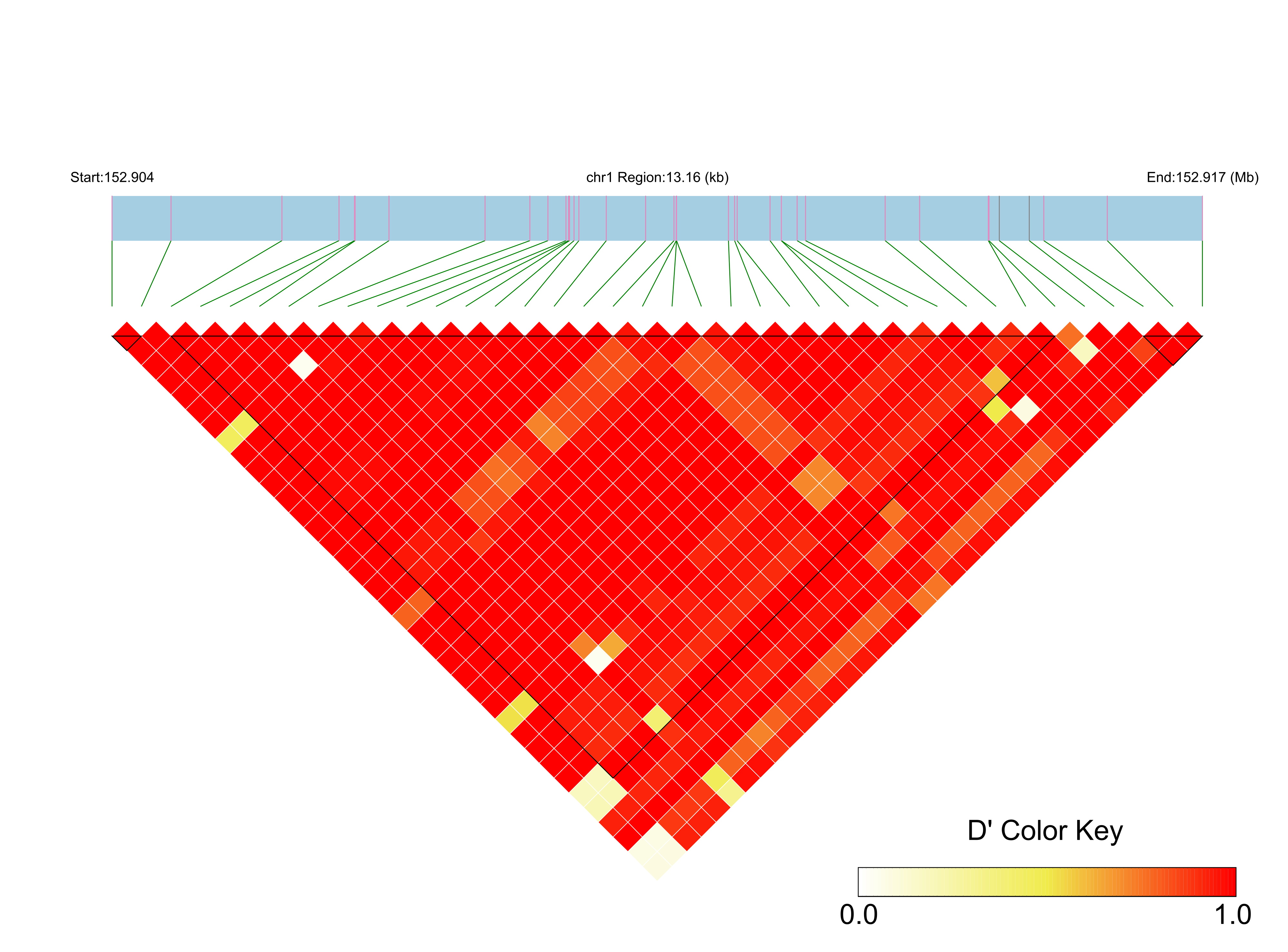 LD