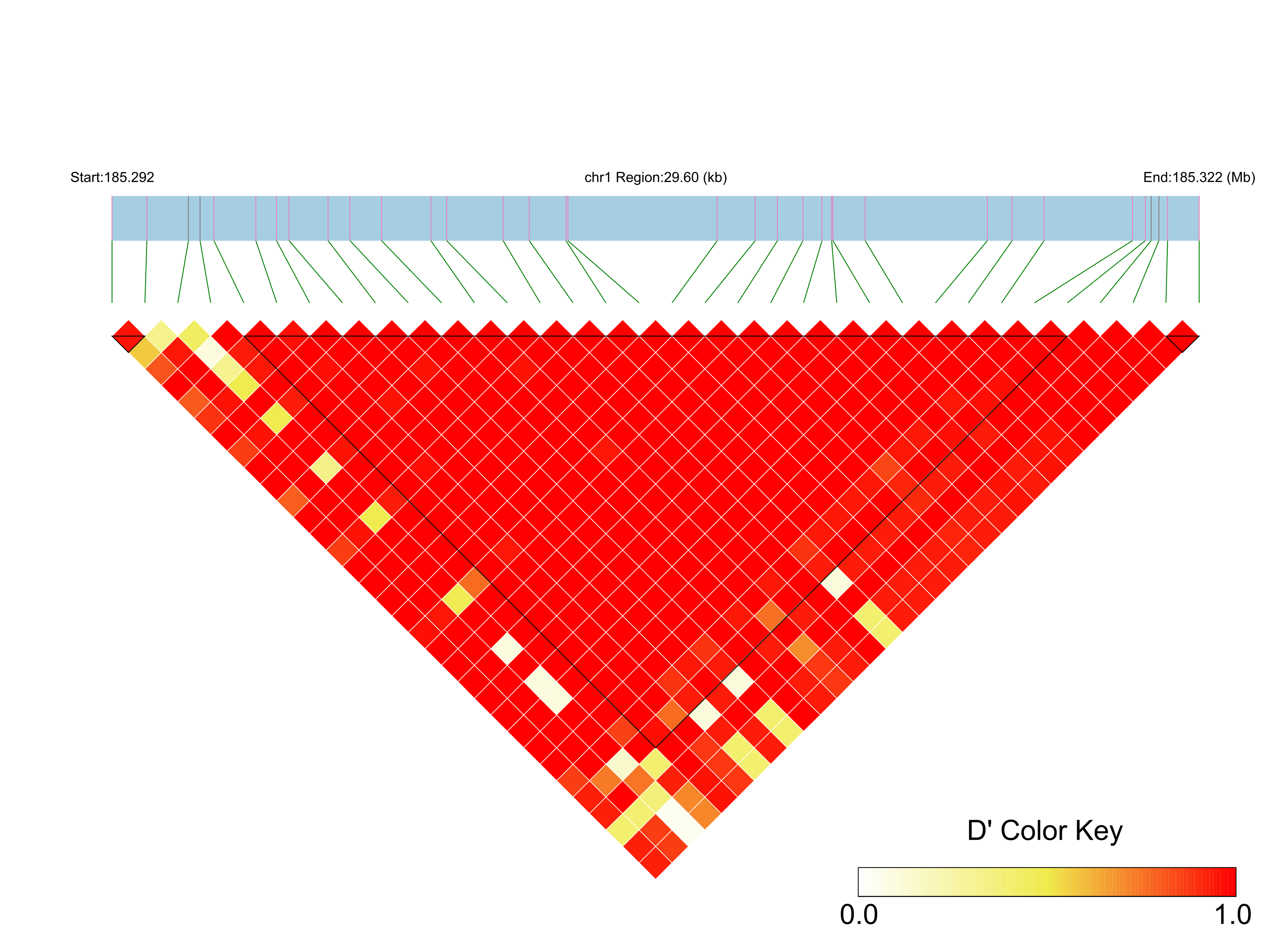 LD