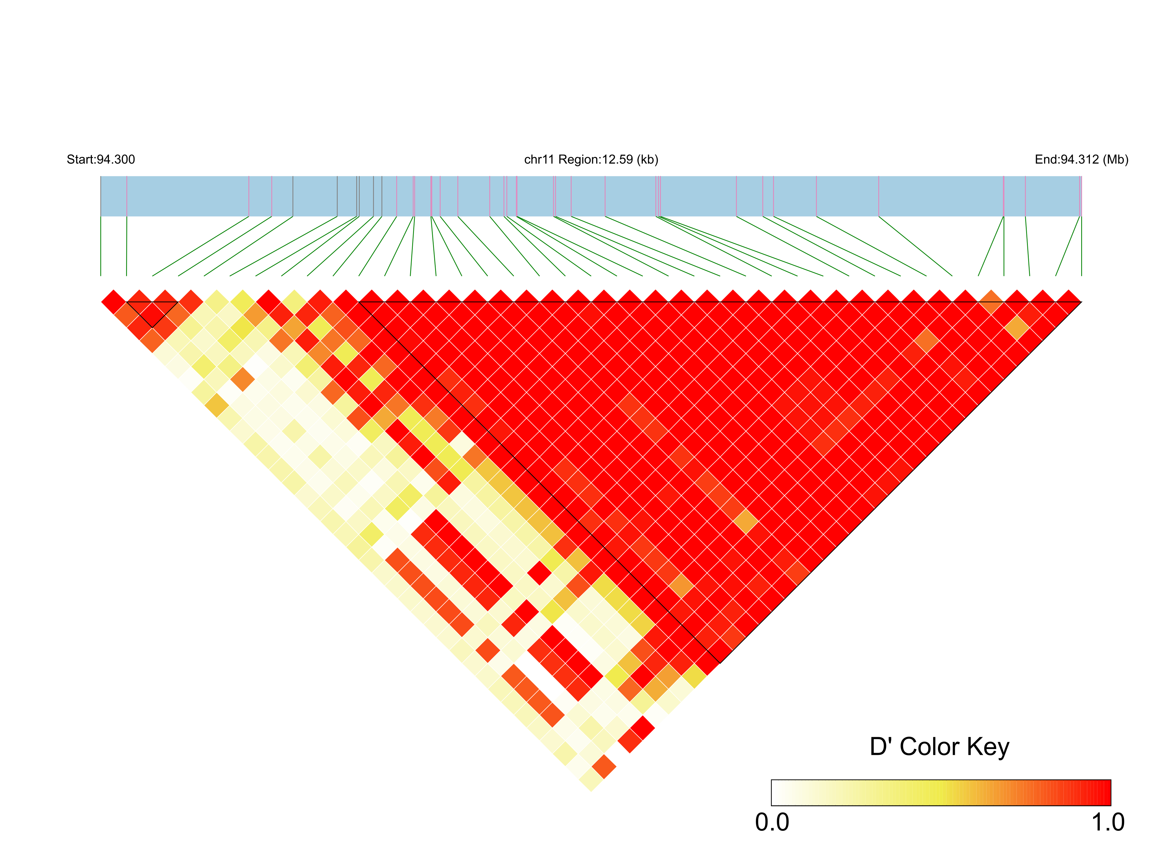 LD