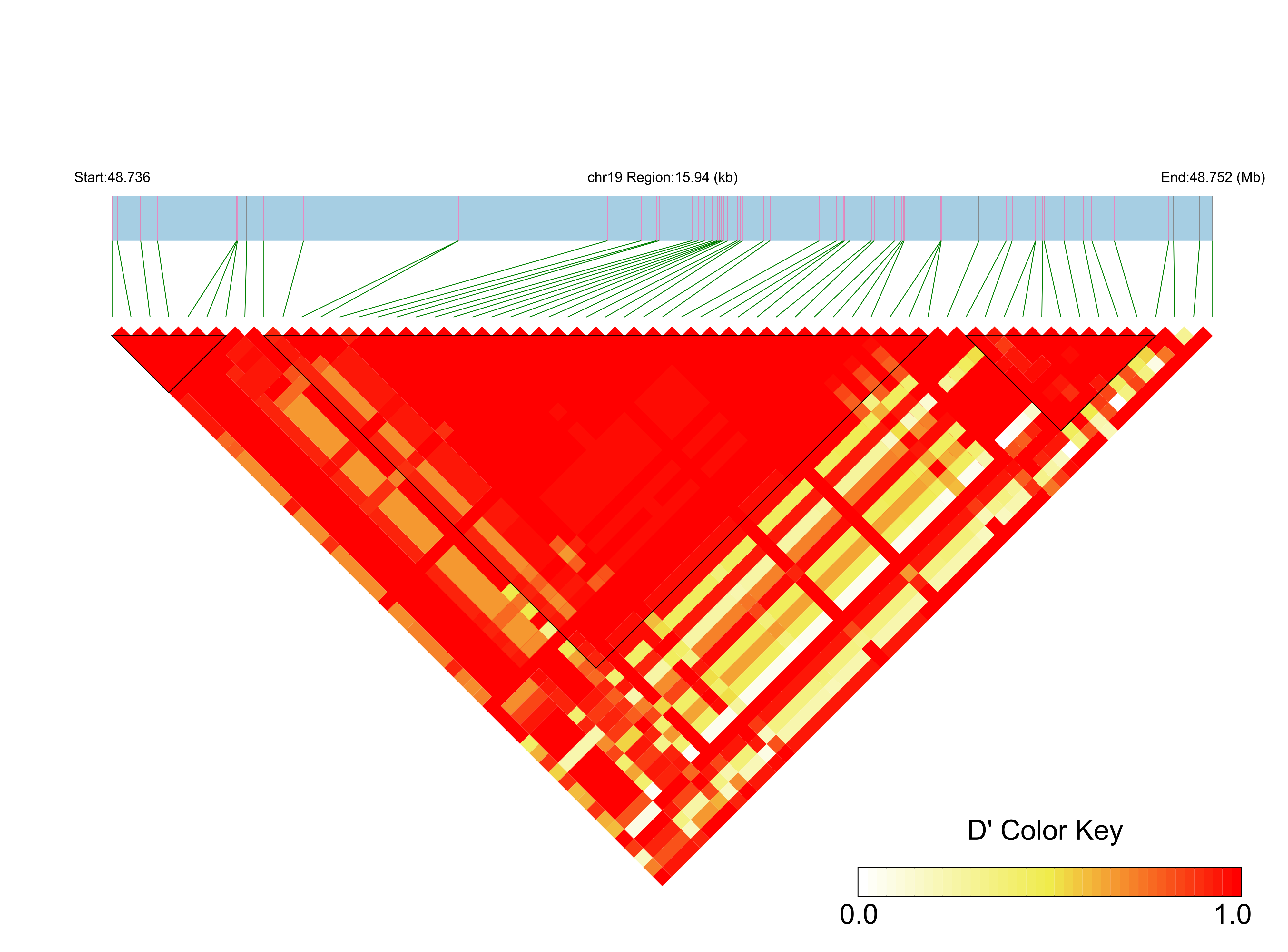 LD