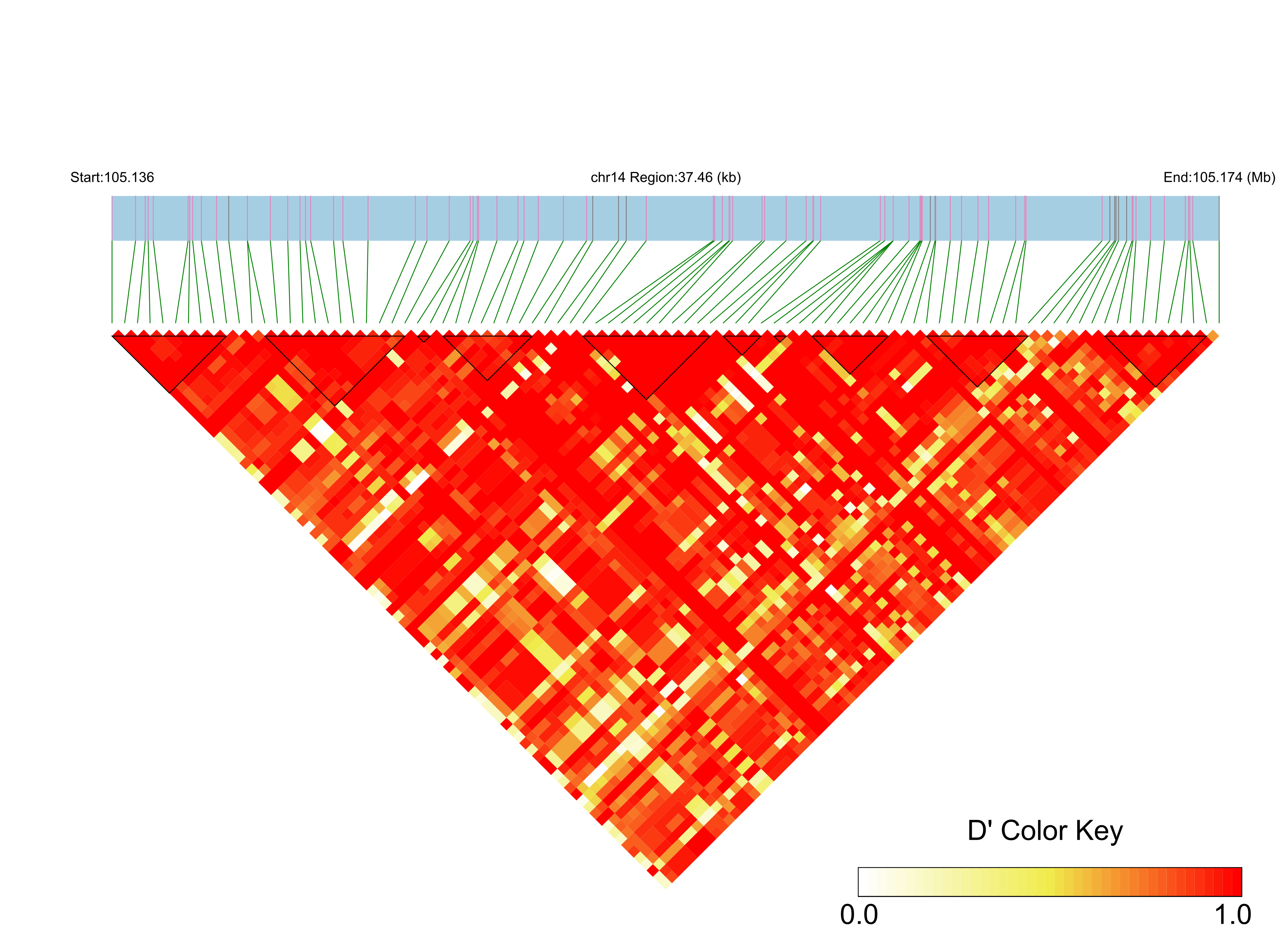 LD