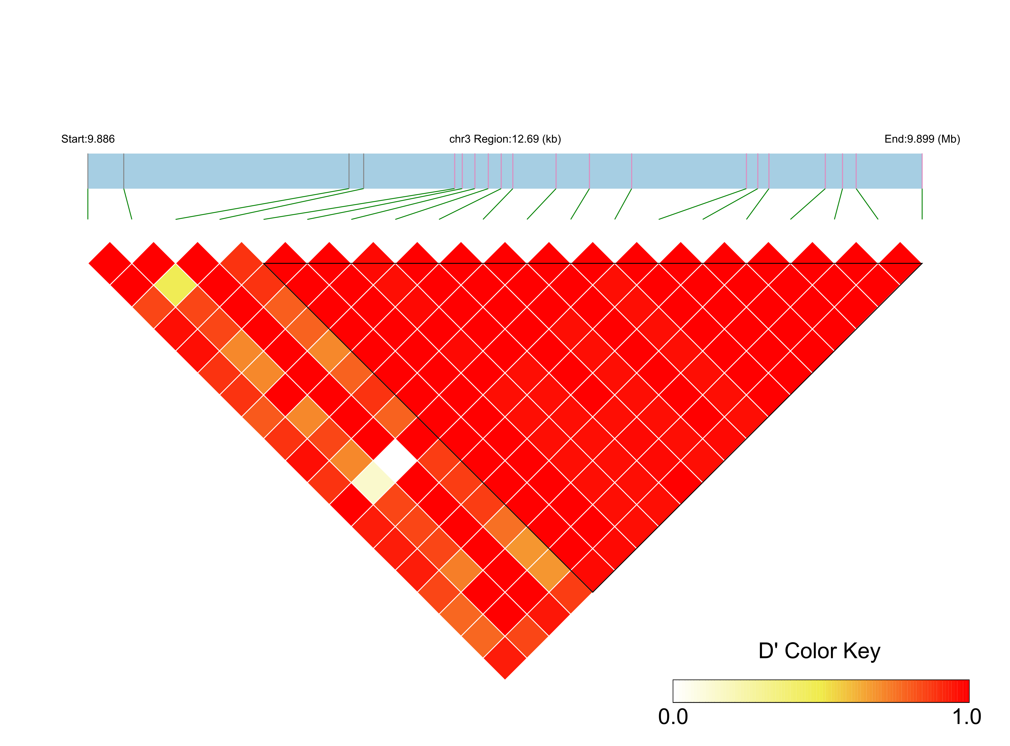 LD