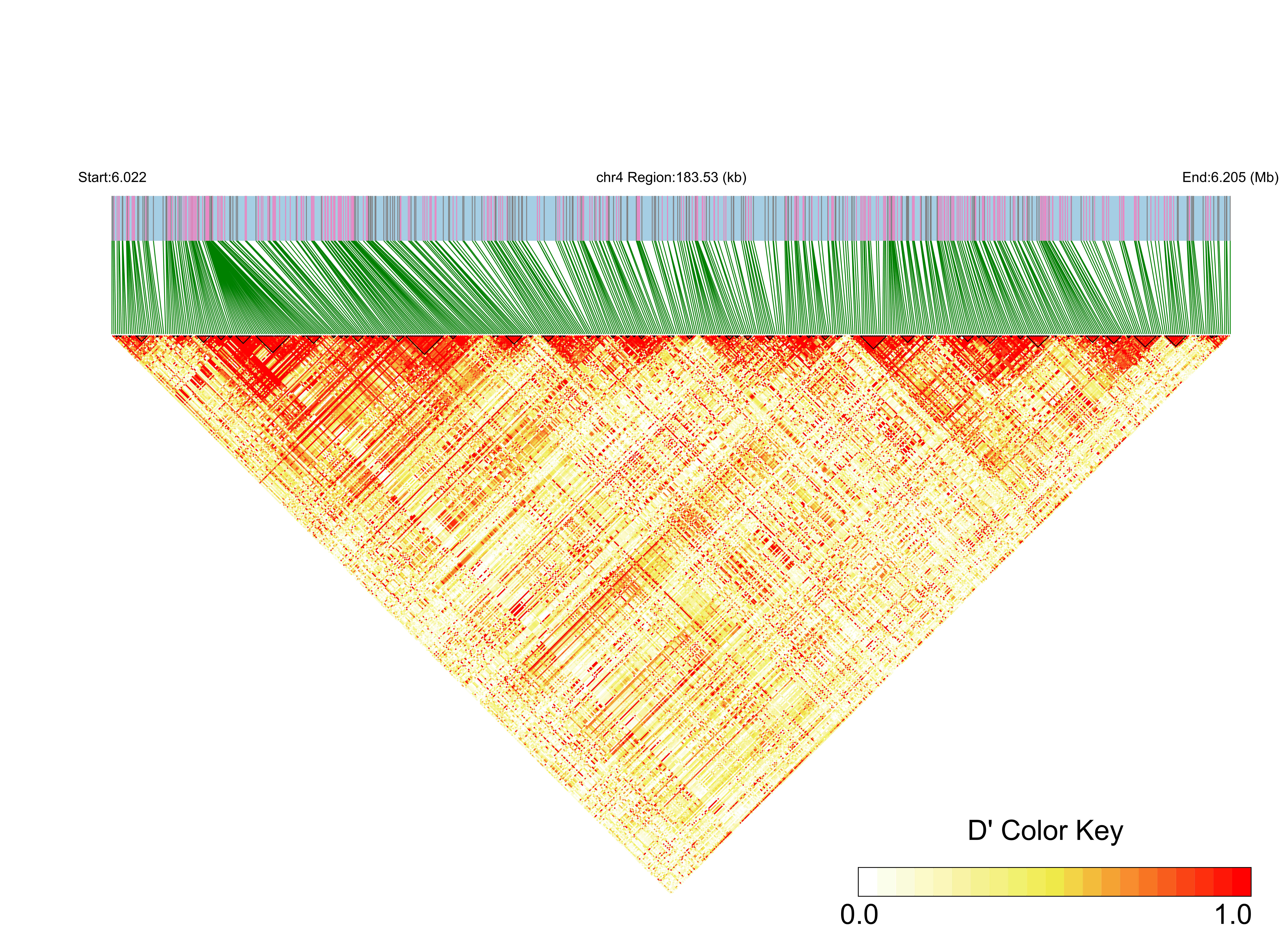 LD