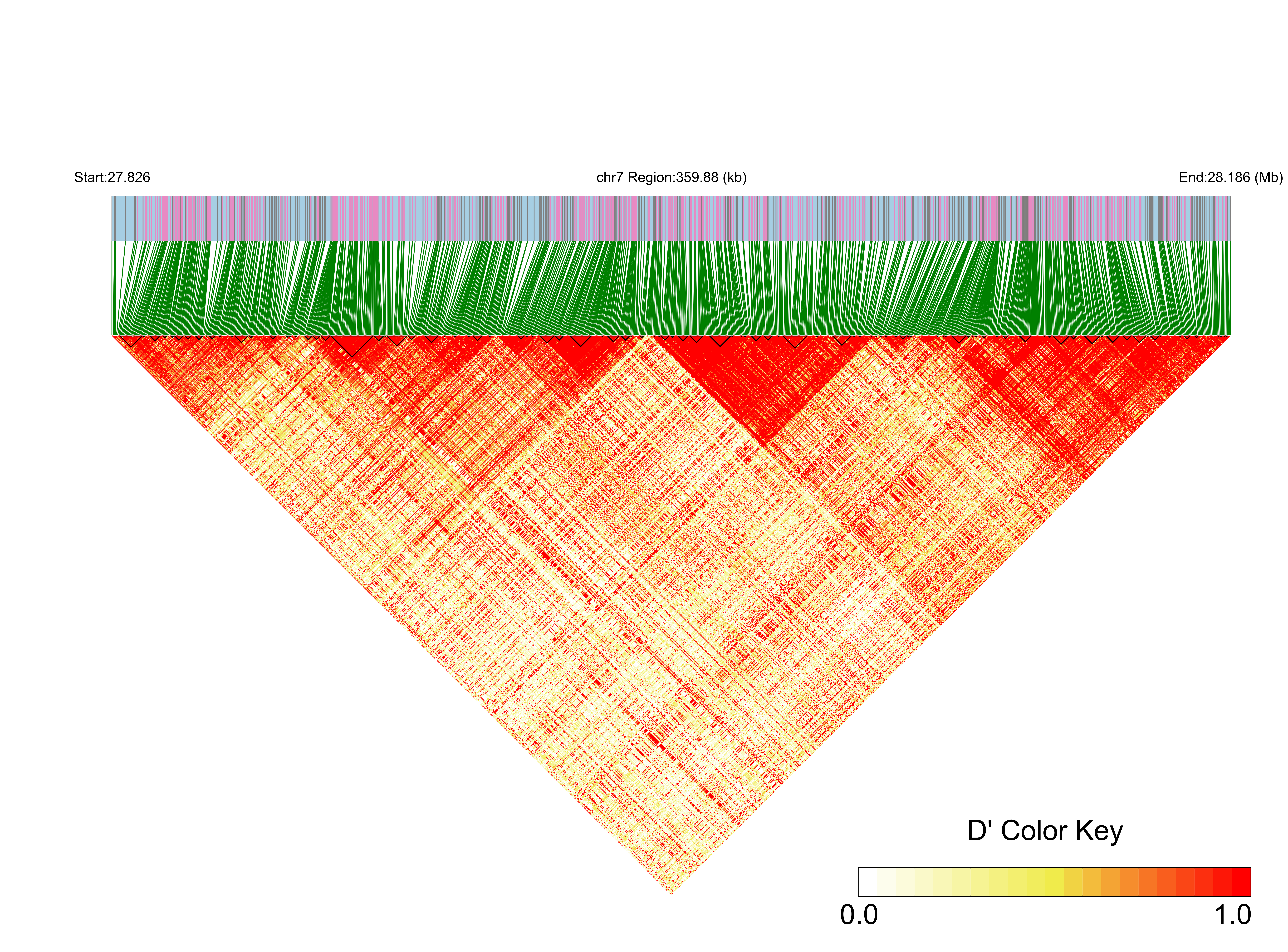 LD