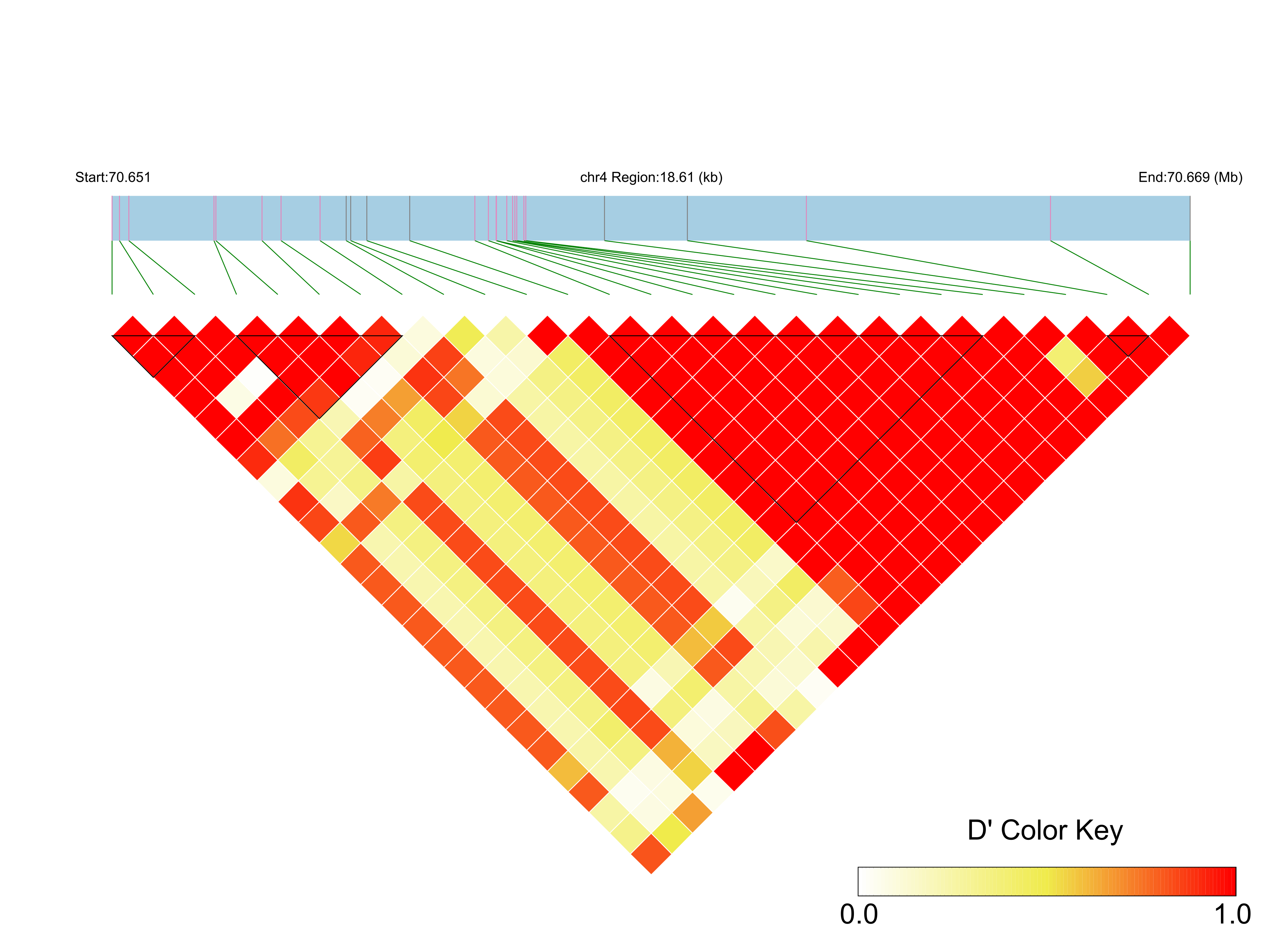 LD